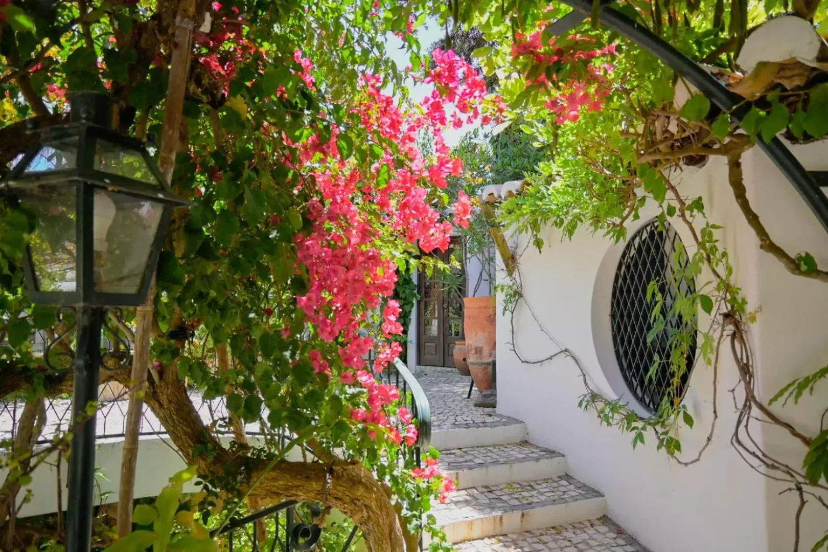 Garden in Uma Casa a Beira Sol