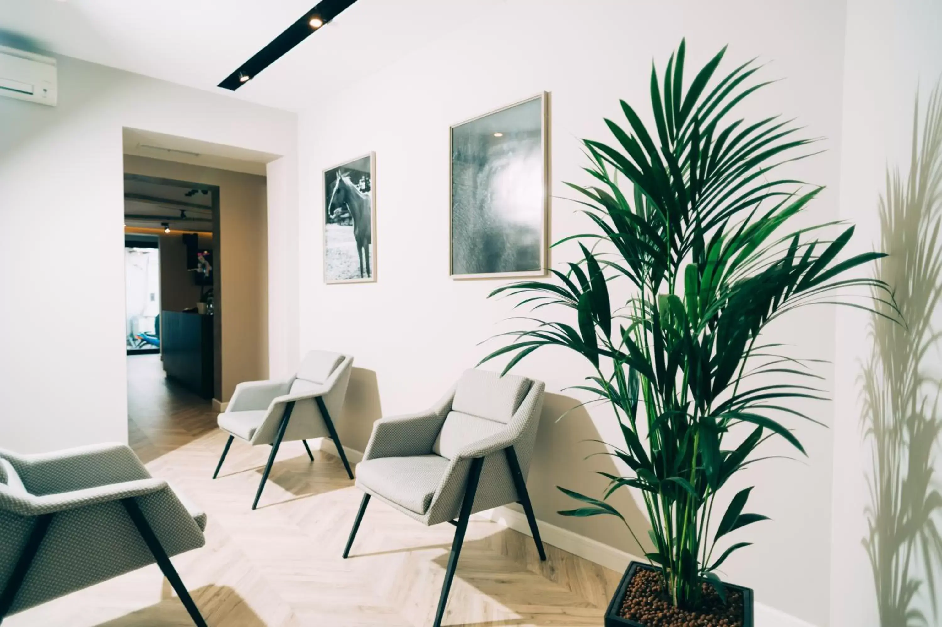 Seating Area in Hotel Stela Center