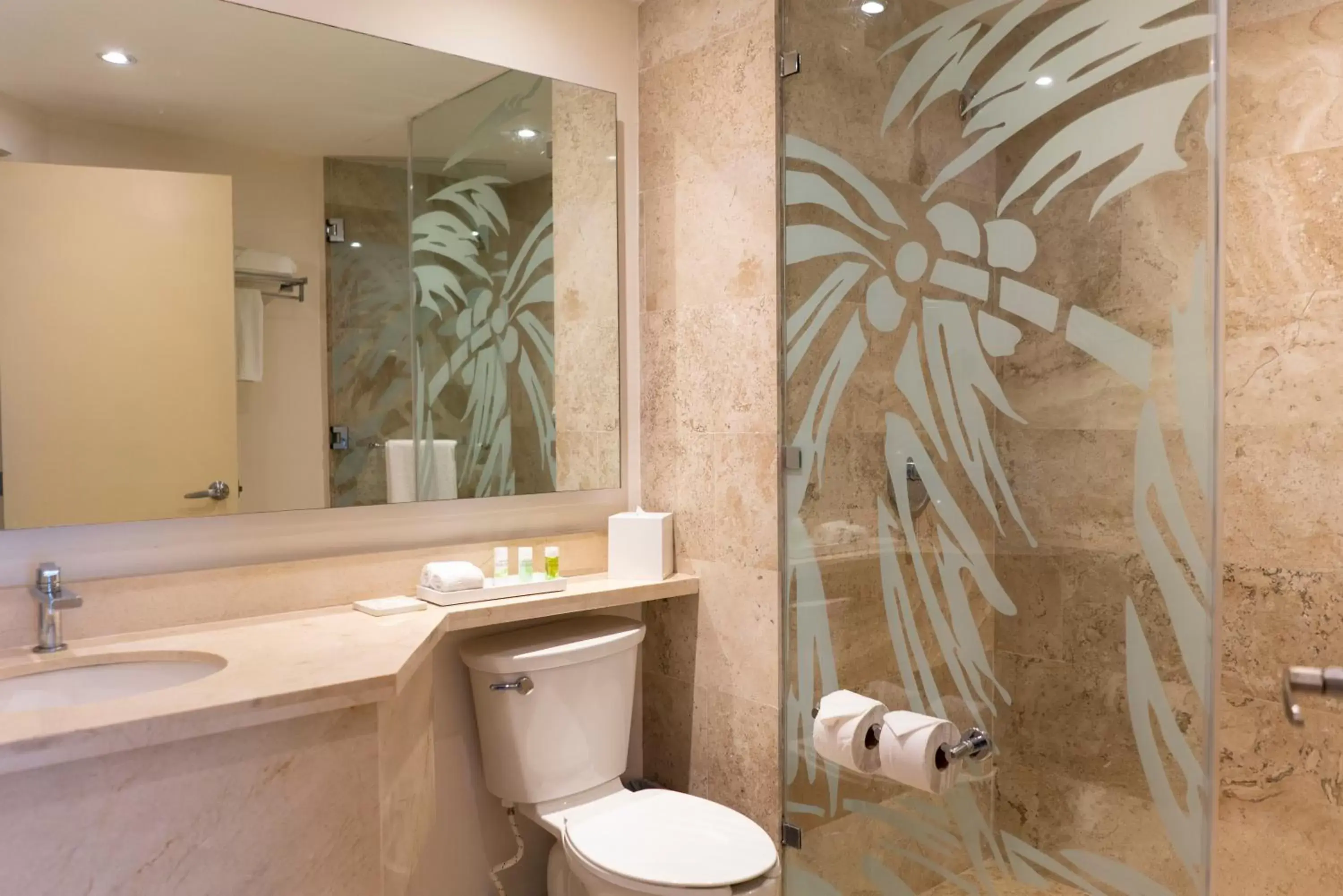 Toilet, Bathroom in The Reef Coco Beach & Spa- Optional All Inclusive