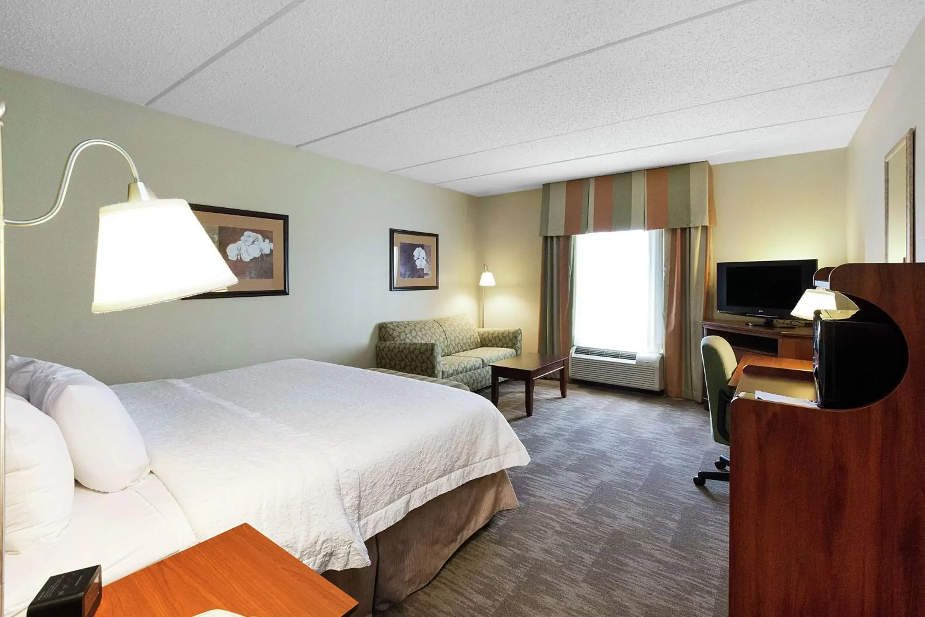 Living room, Bed in Hampton Inn & Suites Blairsville