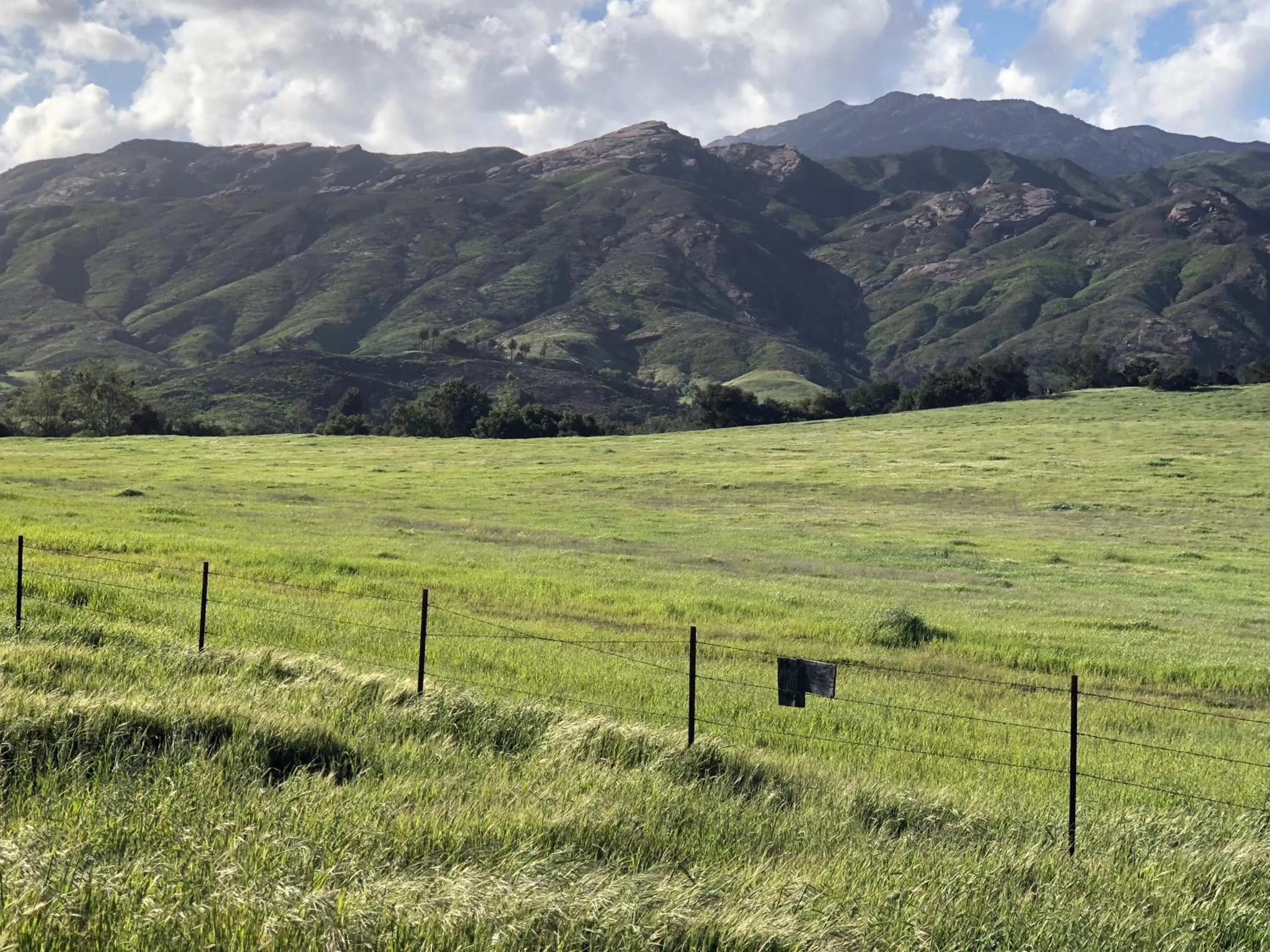 Horse-riding in Chantico Inn