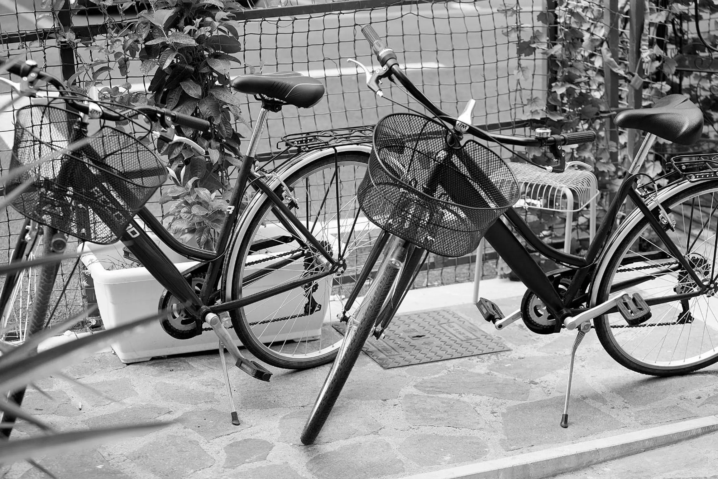 Day in Hostel Trastevere