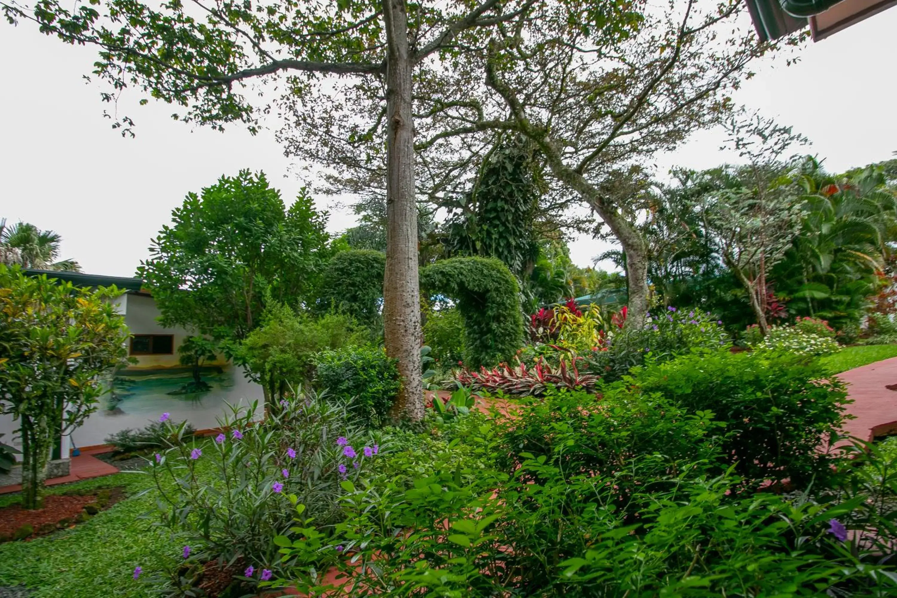 Garden in Hotel La Rosa de America