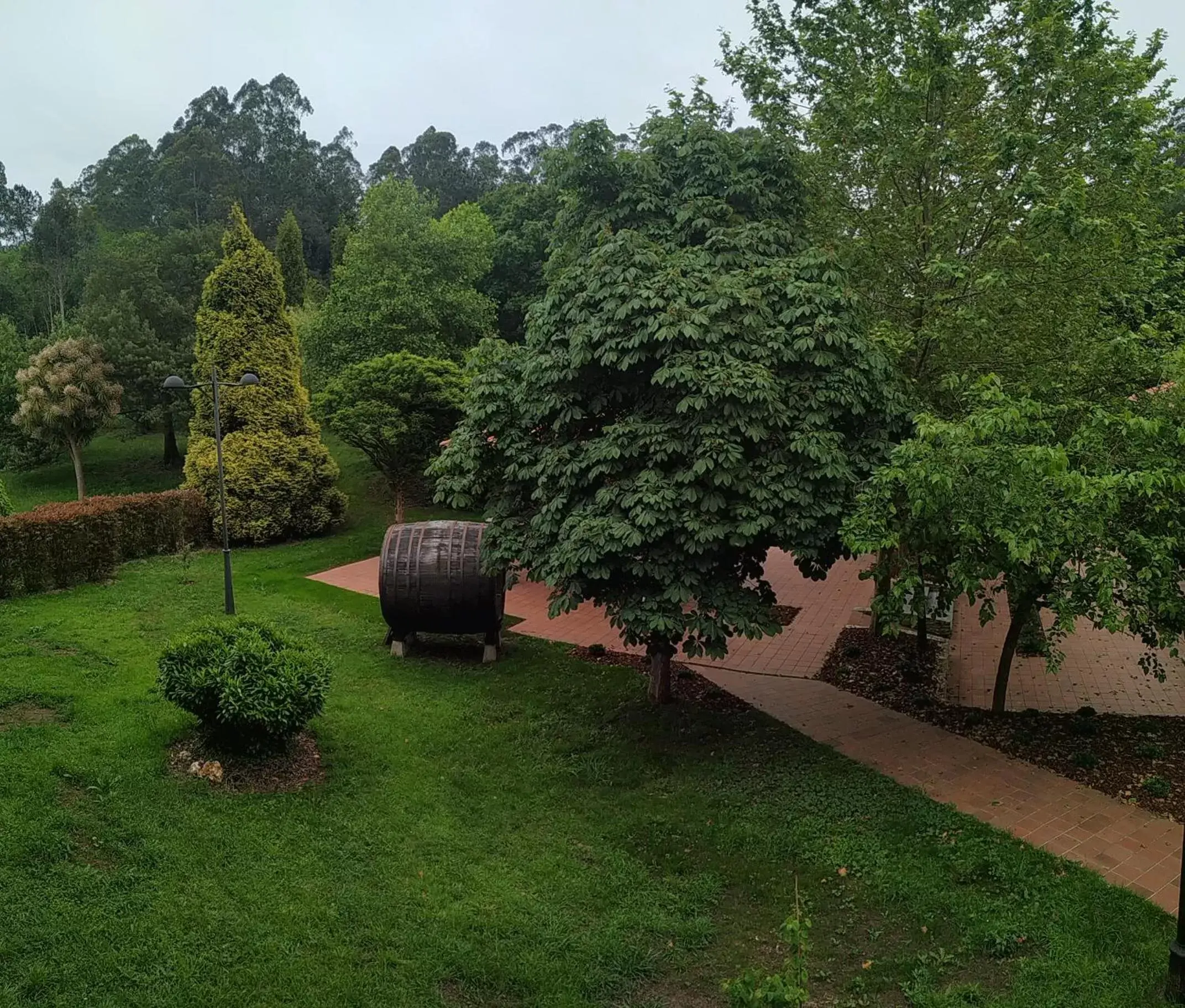 Garden view, Garden in HOTEL LA CAMPANA