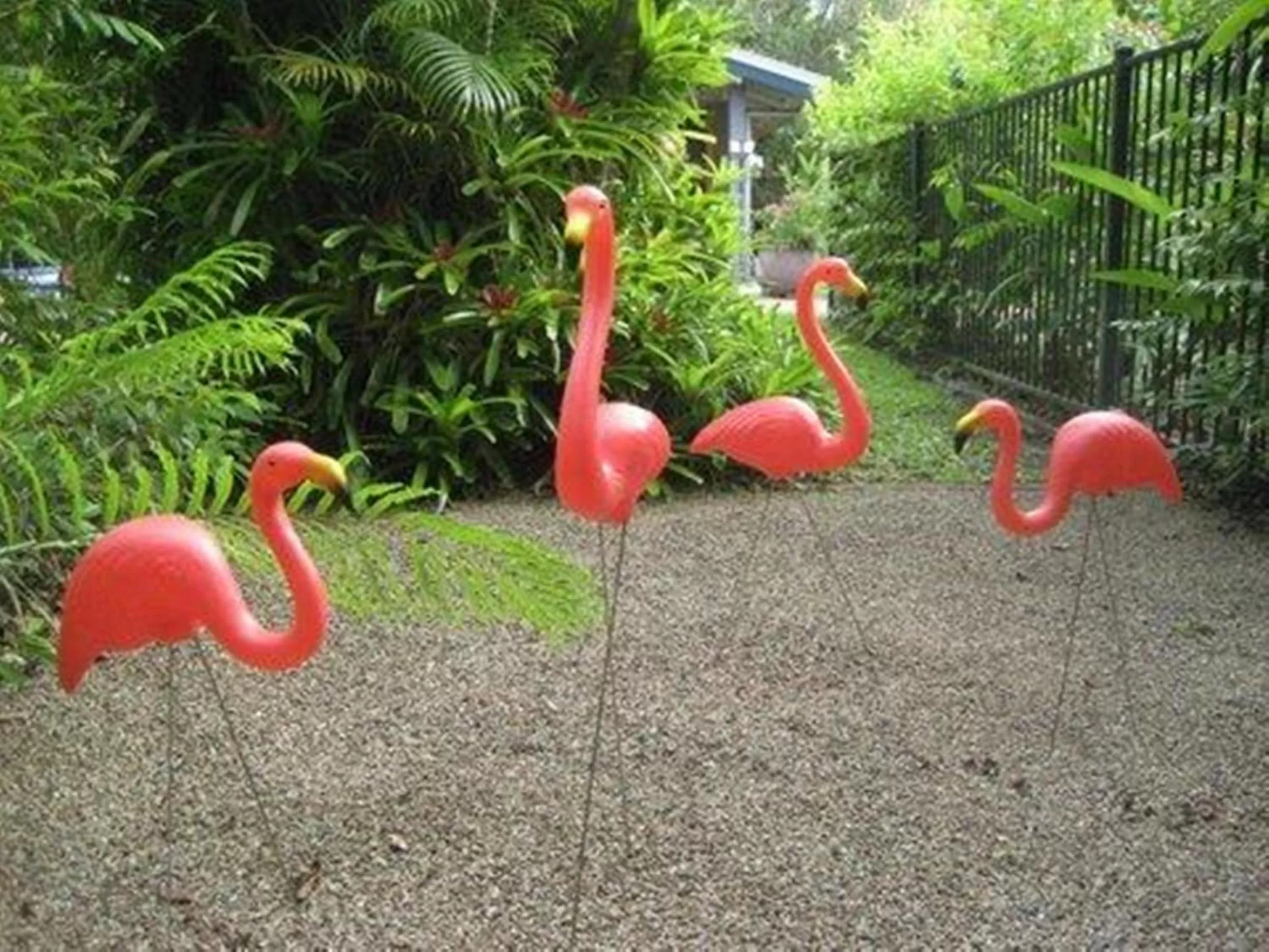 Garden in Pink Flamingo Resort