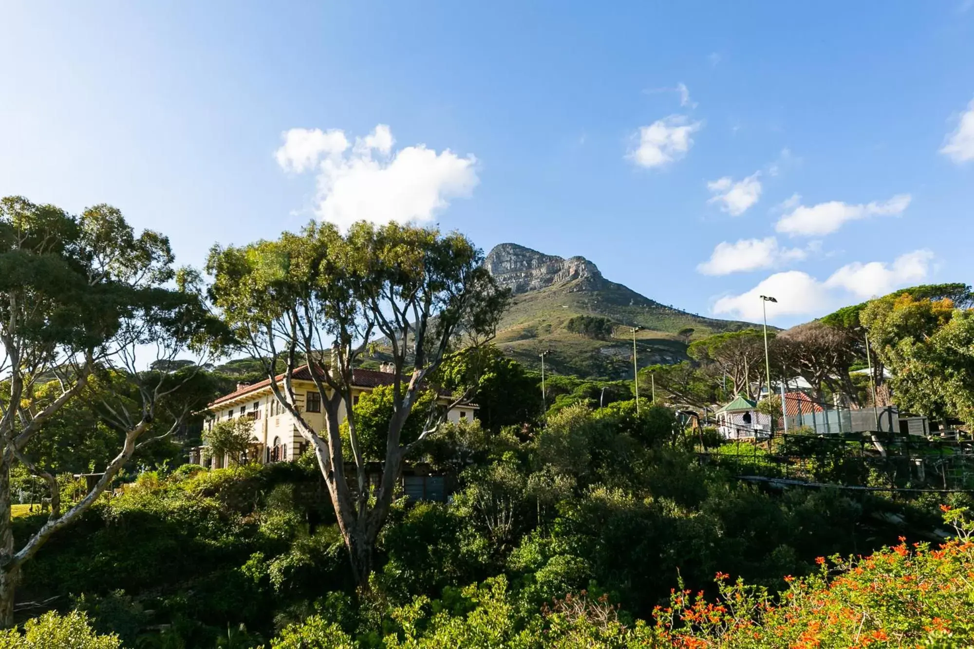 Natural landscape in Camps Bay Retreat Hotel