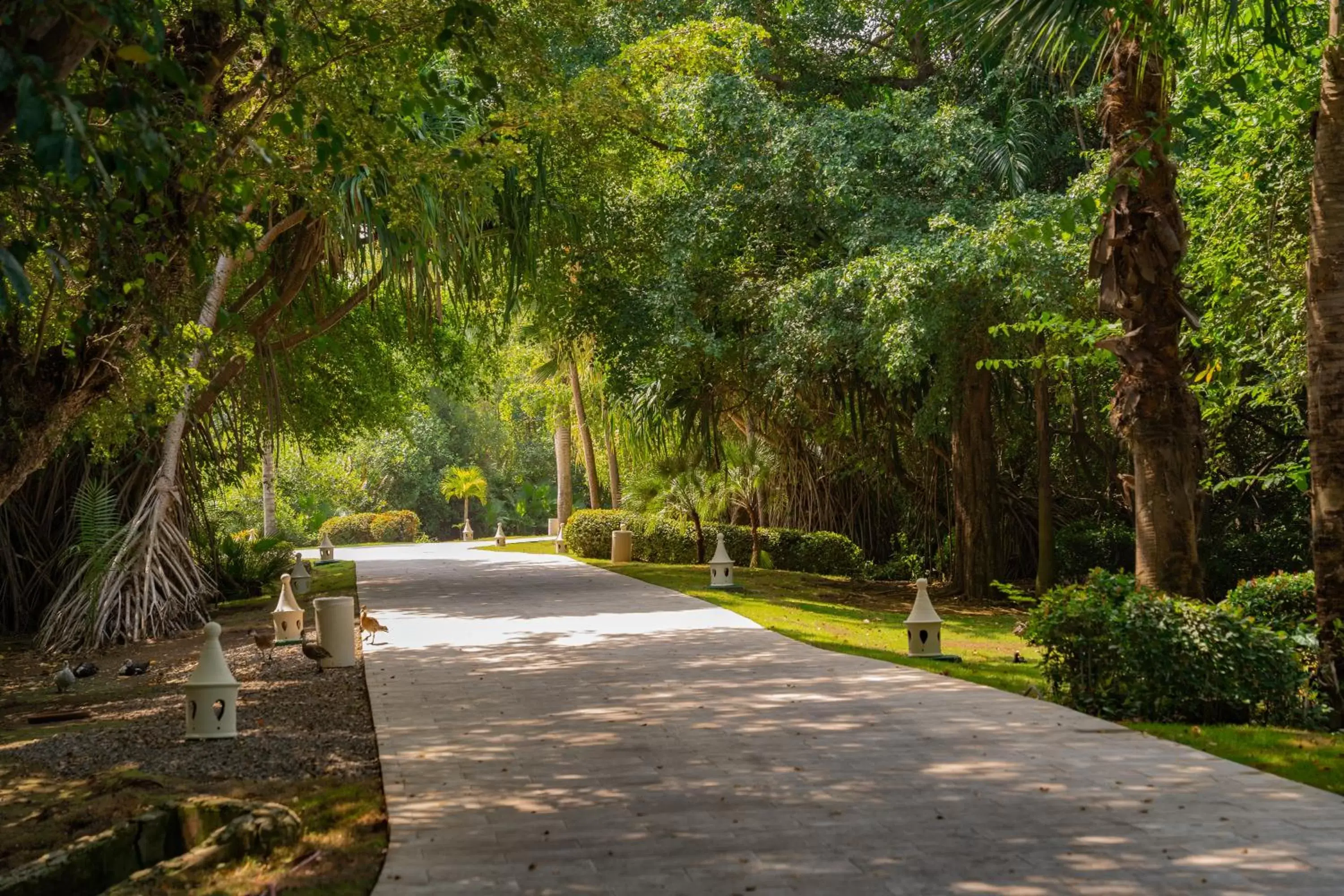 Area and facilities, Garden in Caribe Deluxe Princess - All Inclusive