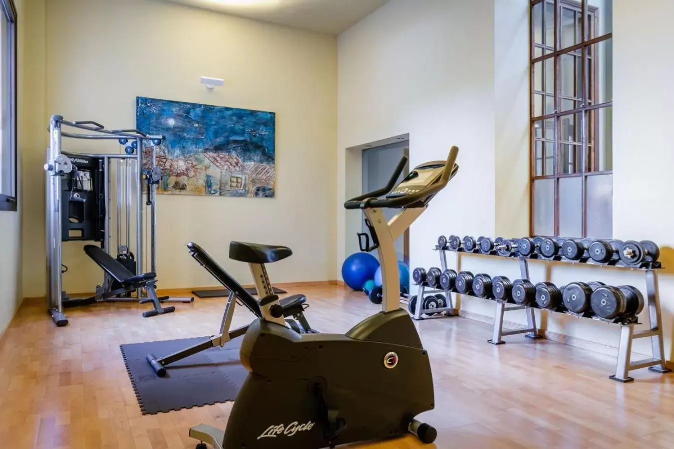 Fitness centre/facilities, Fitness Center/Facilities in Sercotel Arrahona Sabadell