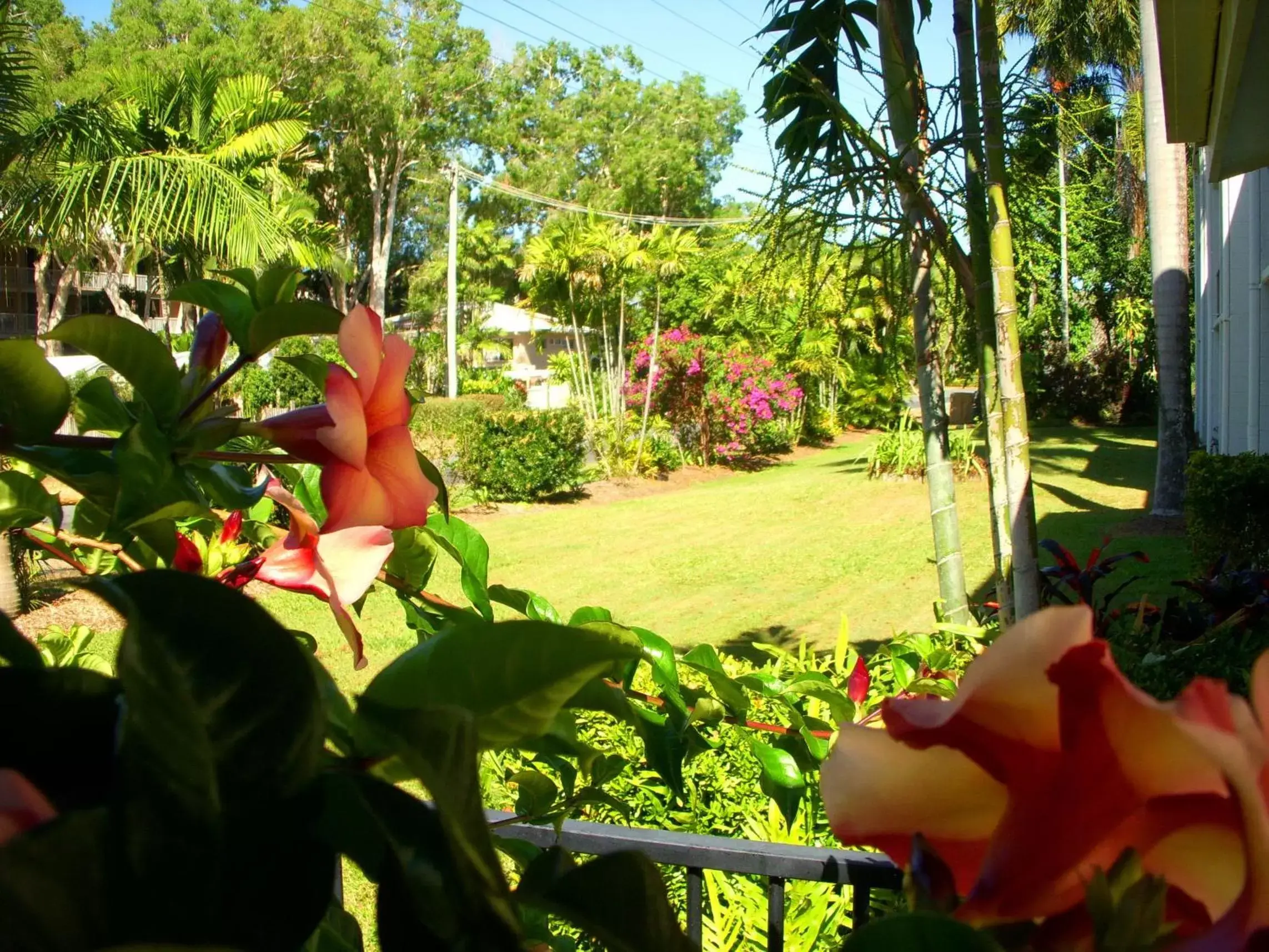 Area and facilities, Garden in Clifton Sands Holiday Units