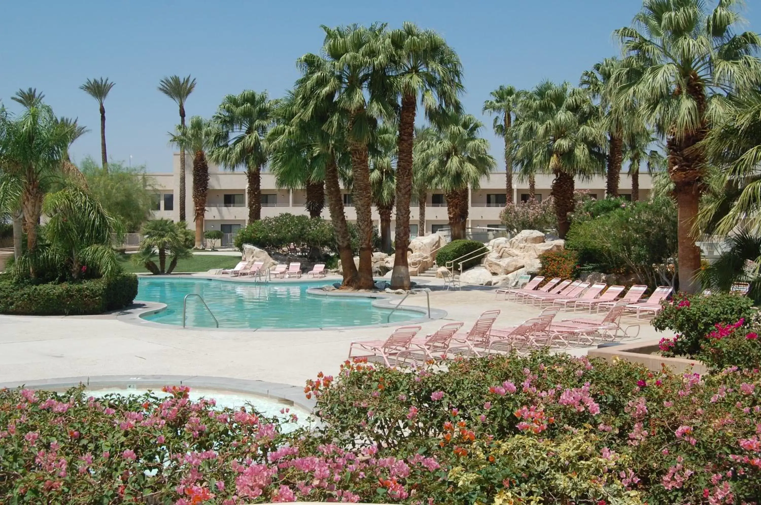 Swimming Pool in Miracle Springs Resort and Spa