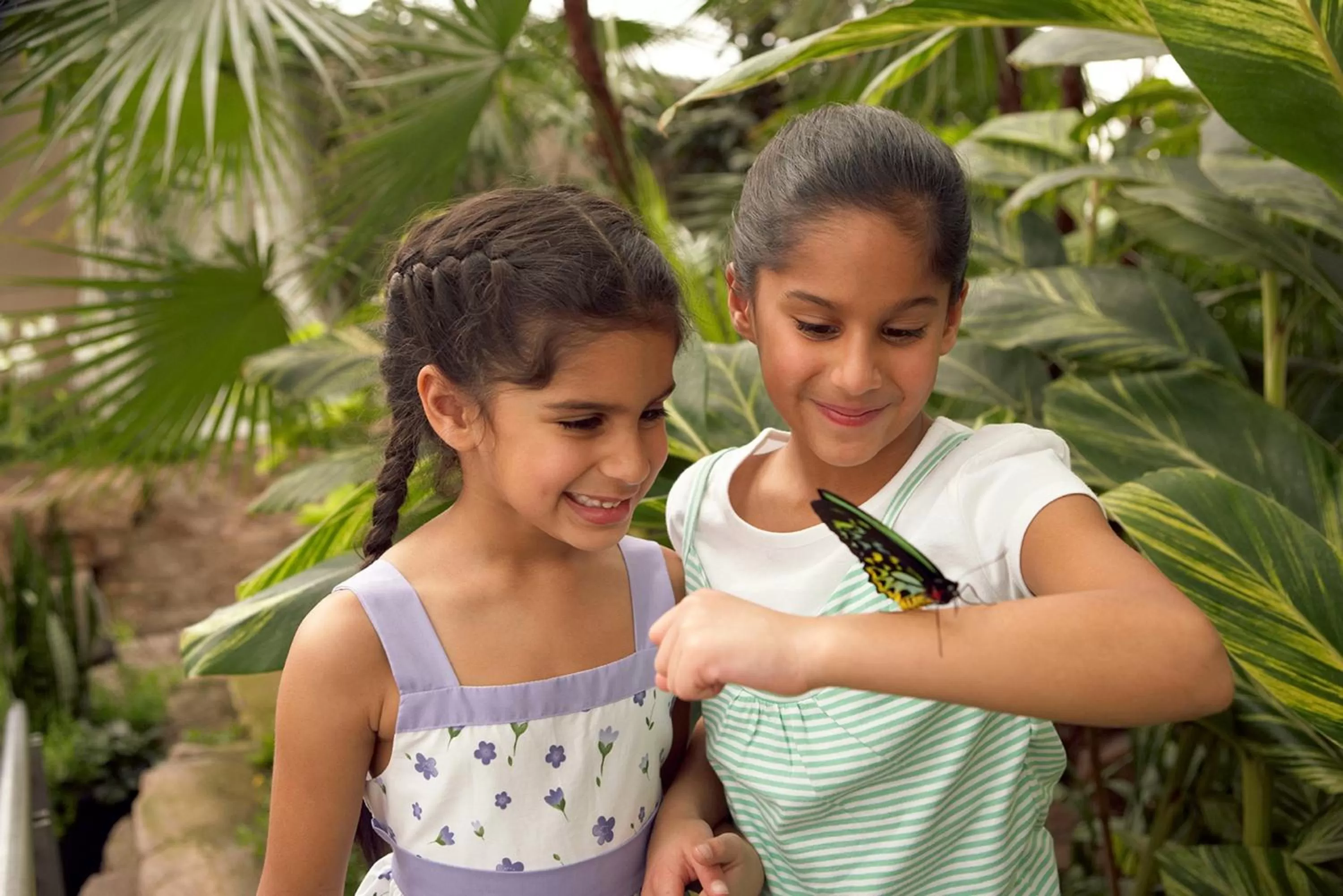 Nearby landmark in Staybridge Suites Niagara-On-The-Lake by IHG