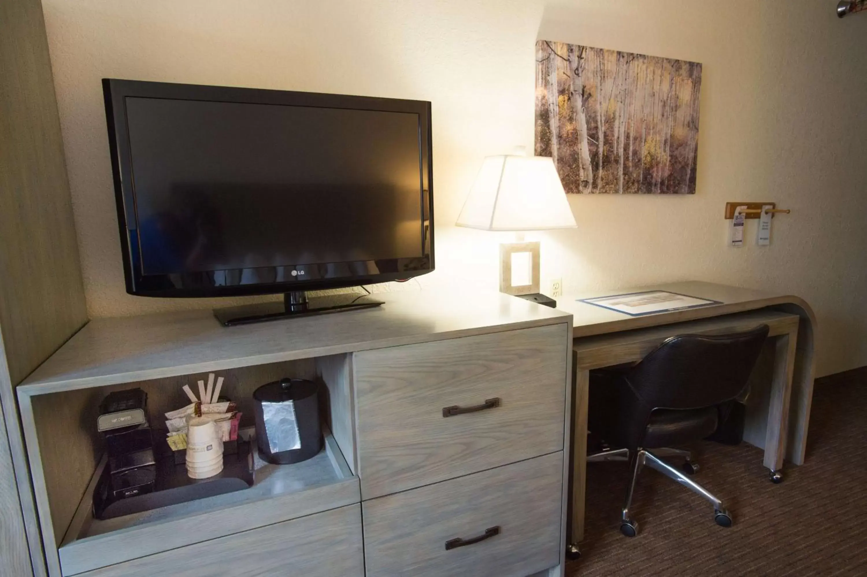 Photo of the whole room, TV/Entertainment Center in Best Western Alpenglo Lodge