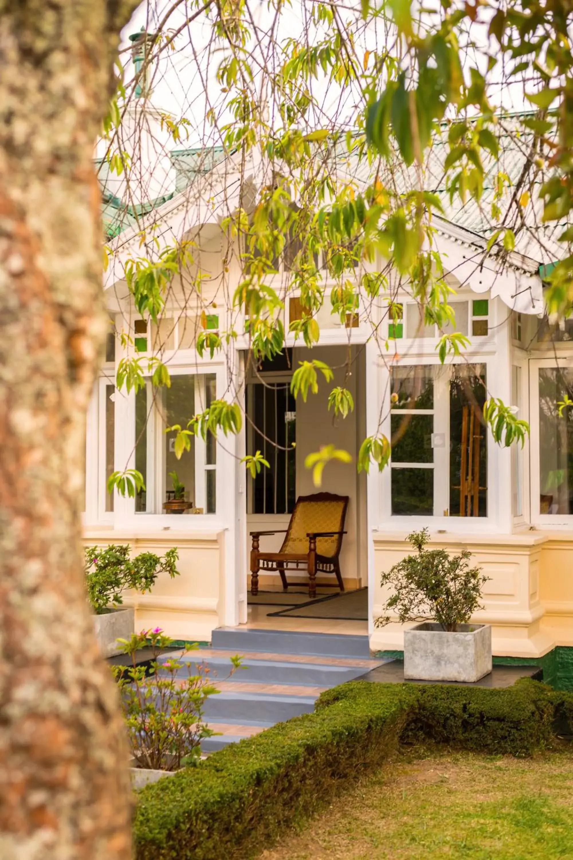 Garden in The Cottage by Jetwing