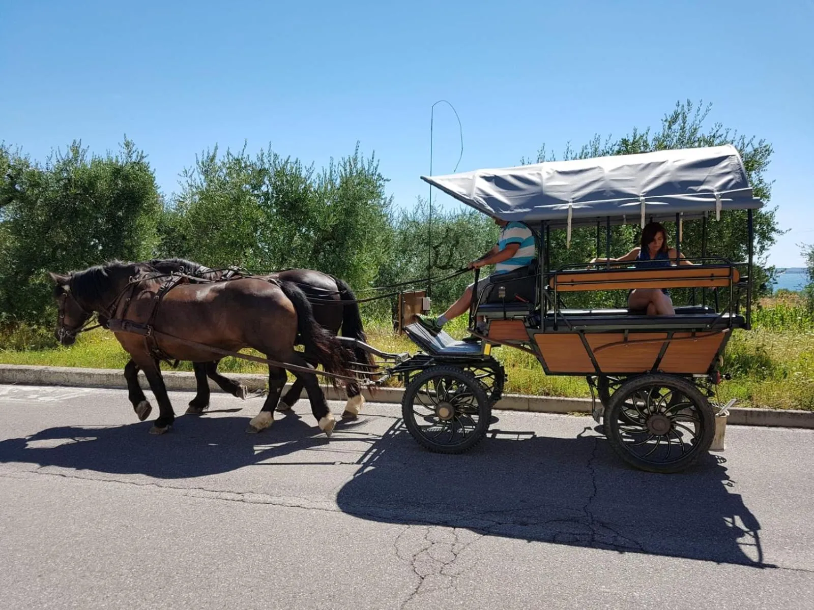 Animals in Lamasu RioVerde - Lago di Garda