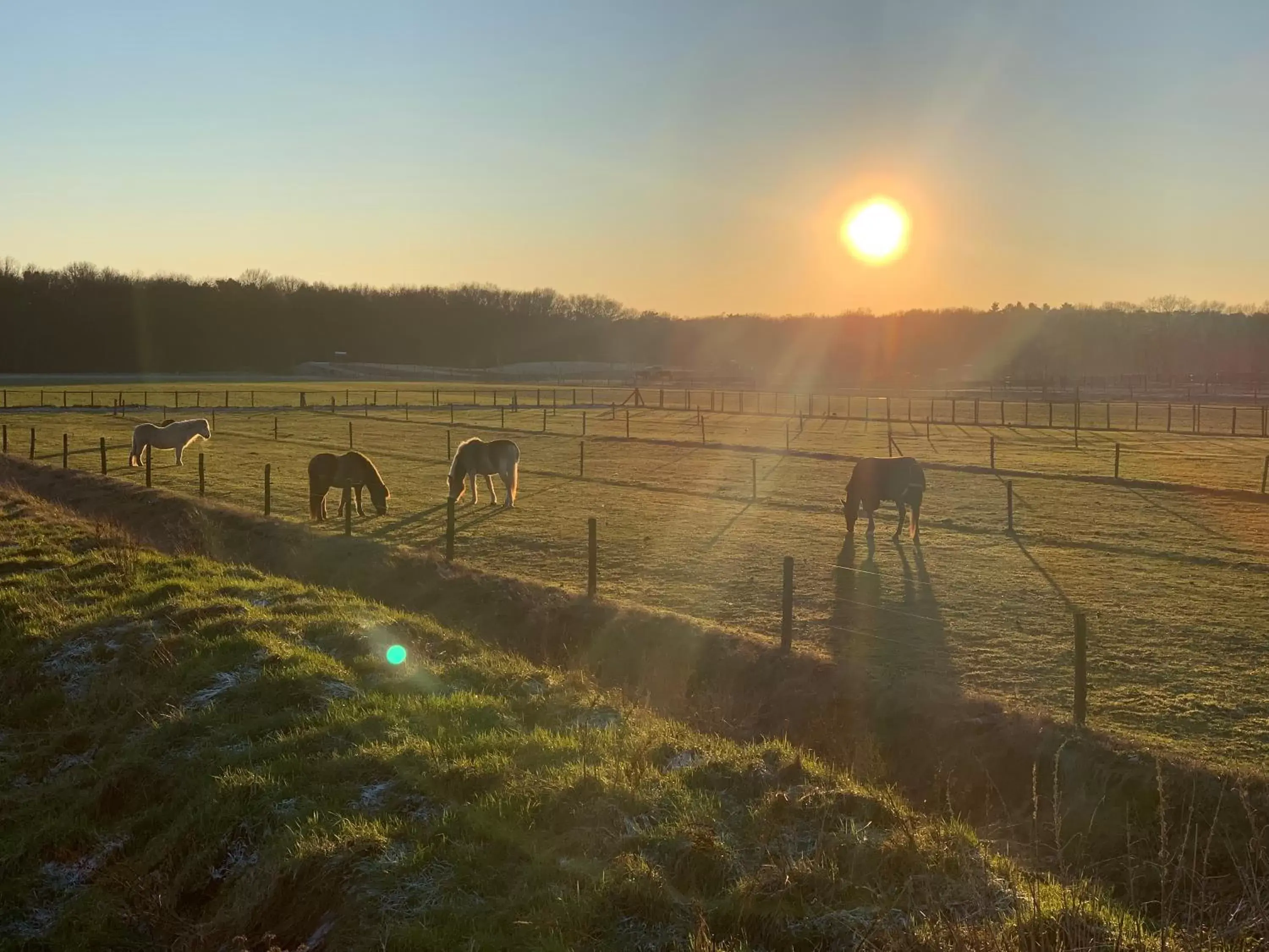 View (from property/room) in Duynparc Soest