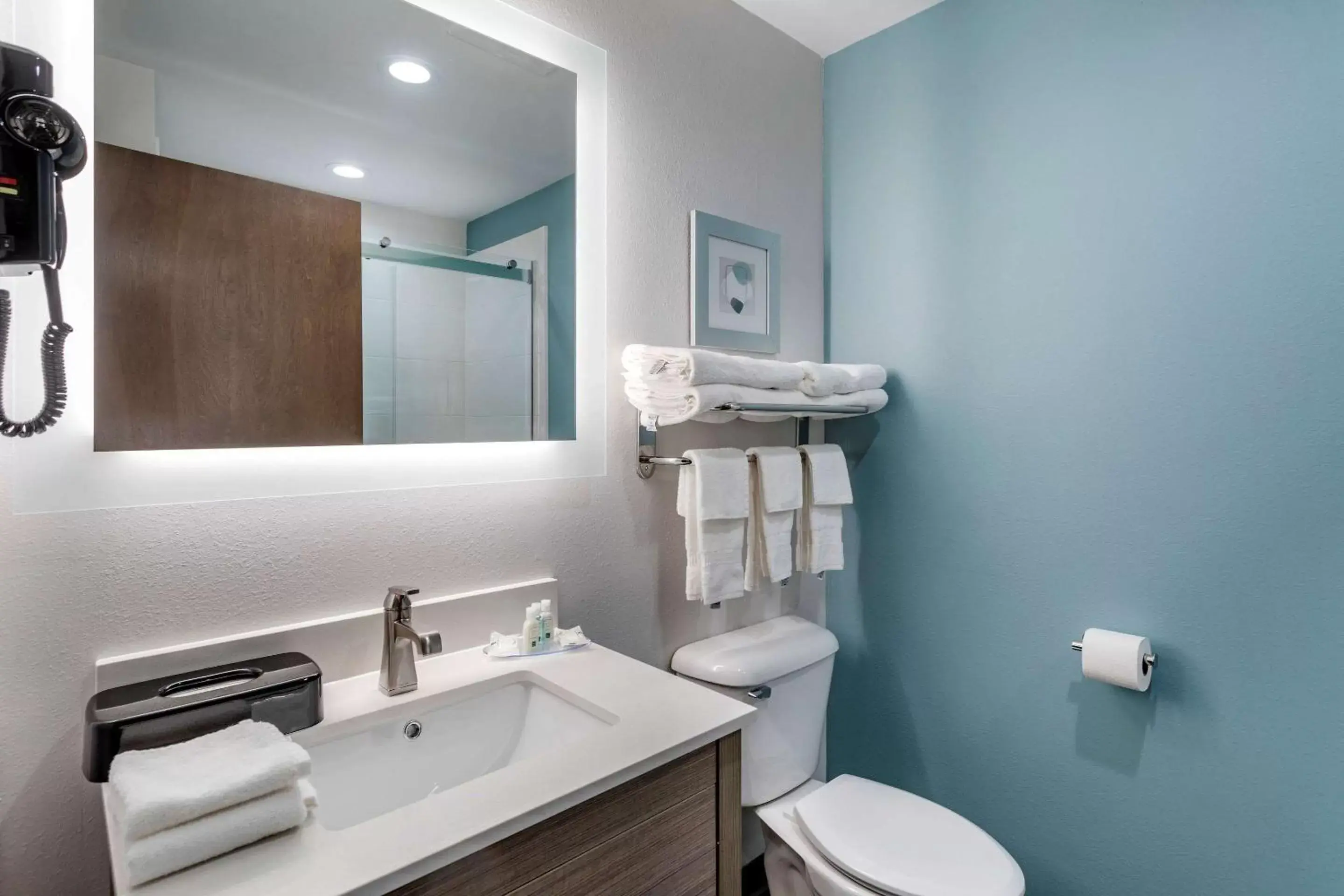 Bathroom in Quality Inn Lebanon - Nashville Area