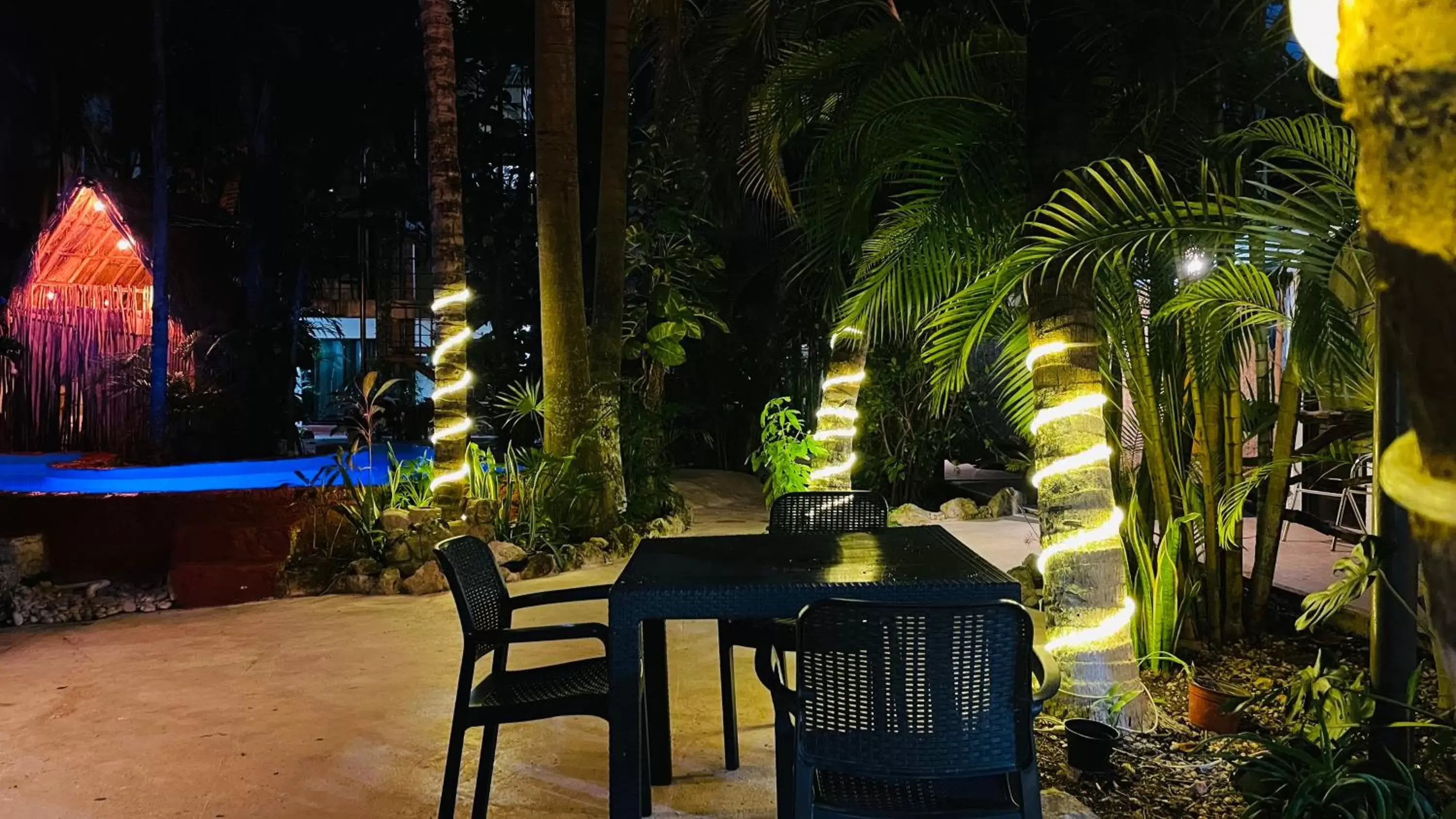 Patio in Hotel B&B - 5th Avenue