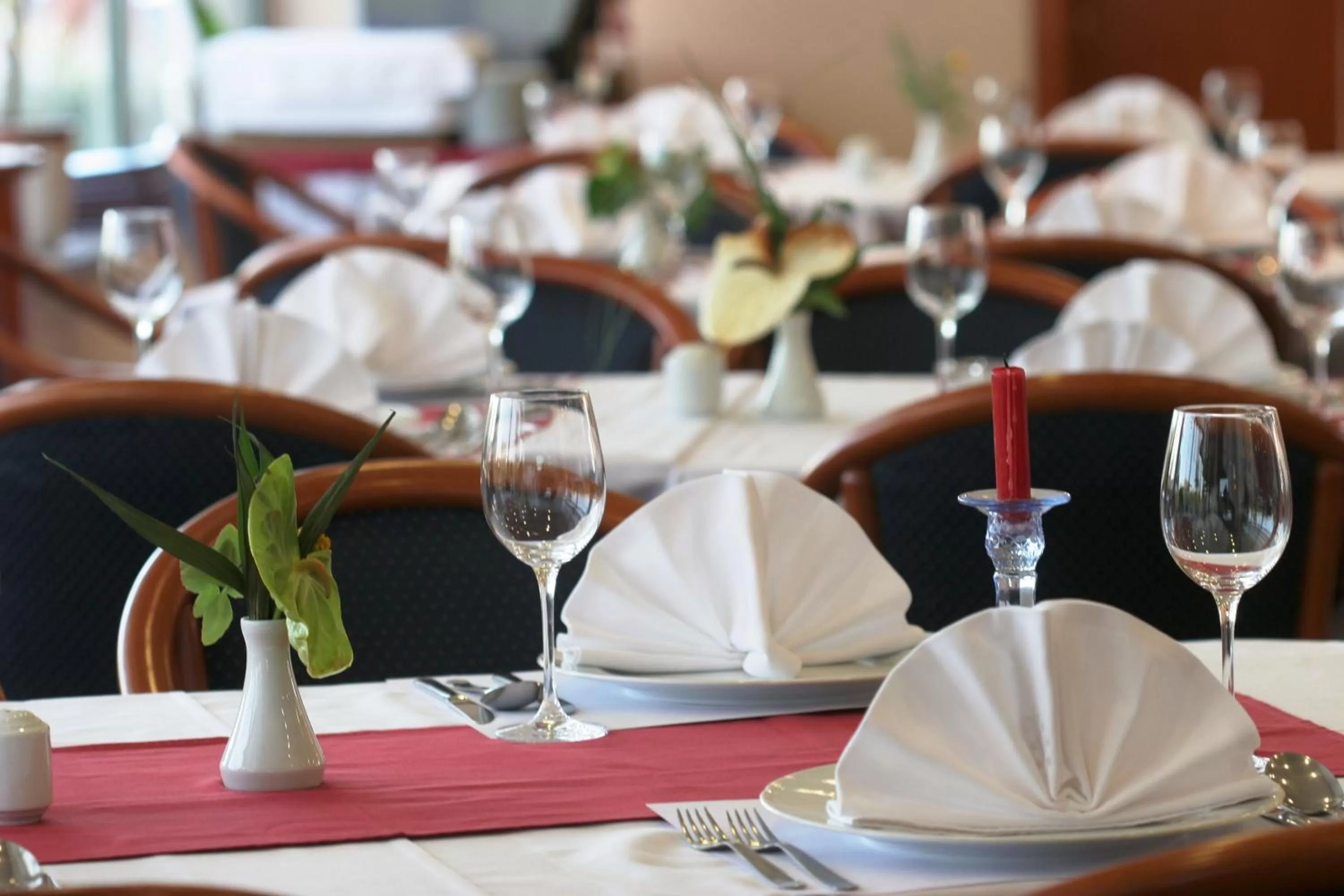 Restaurant/places to eat in Hotel Europa