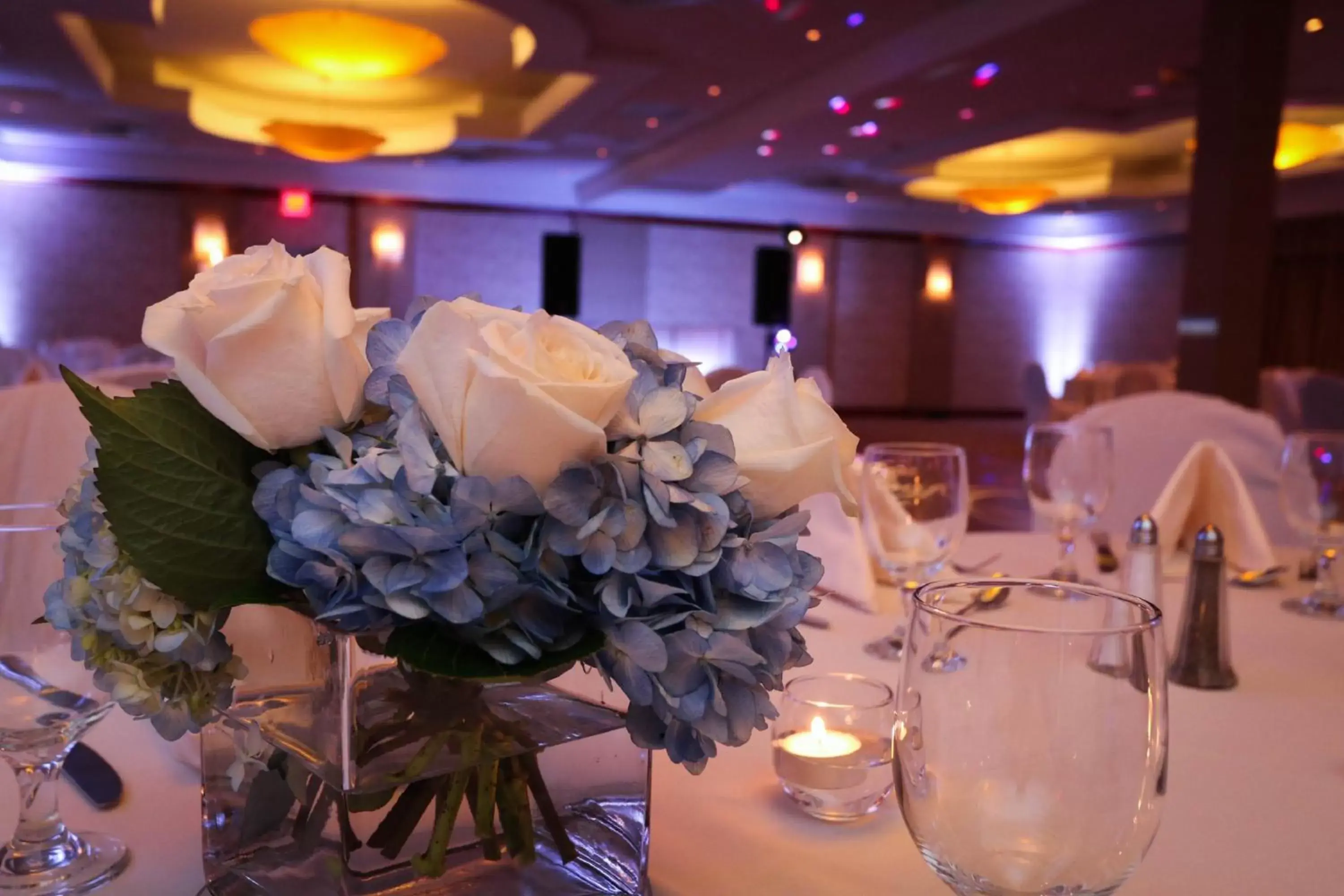 Banquet/Function facilities, Banquet Facilities in Holiday Inn Plainview-Long Island, an IHG Hotel