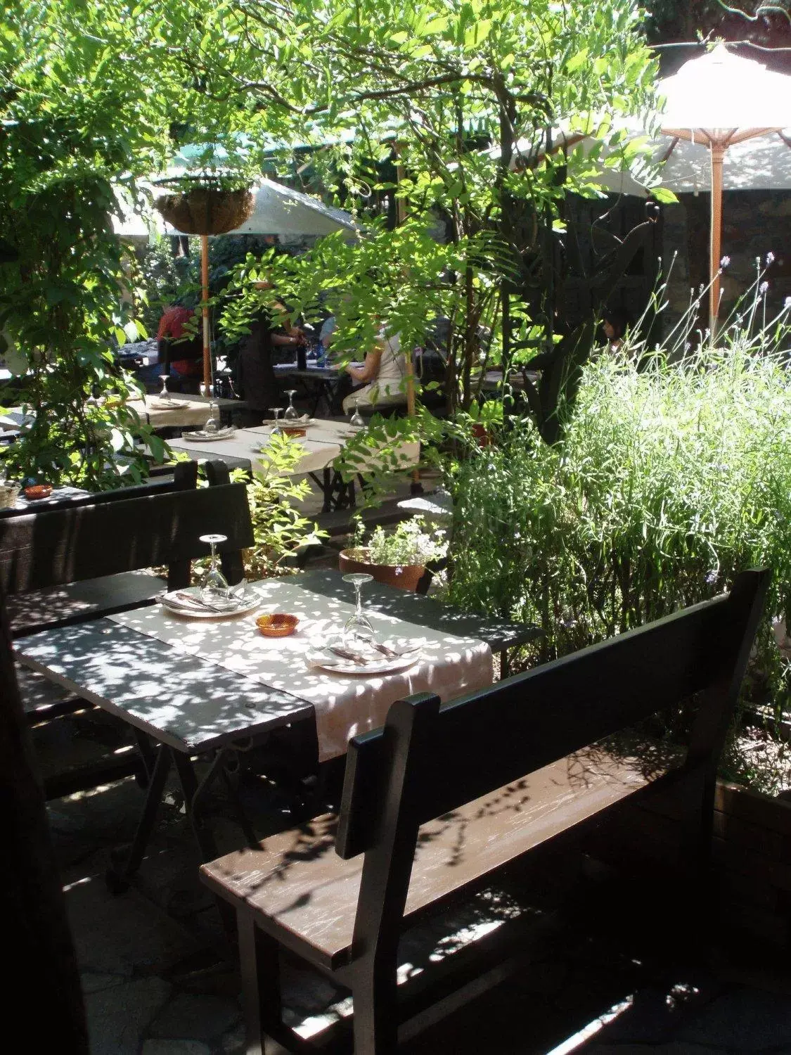 Patio, Restaurant/Places to Eat in La Moncloa de San Lazaro