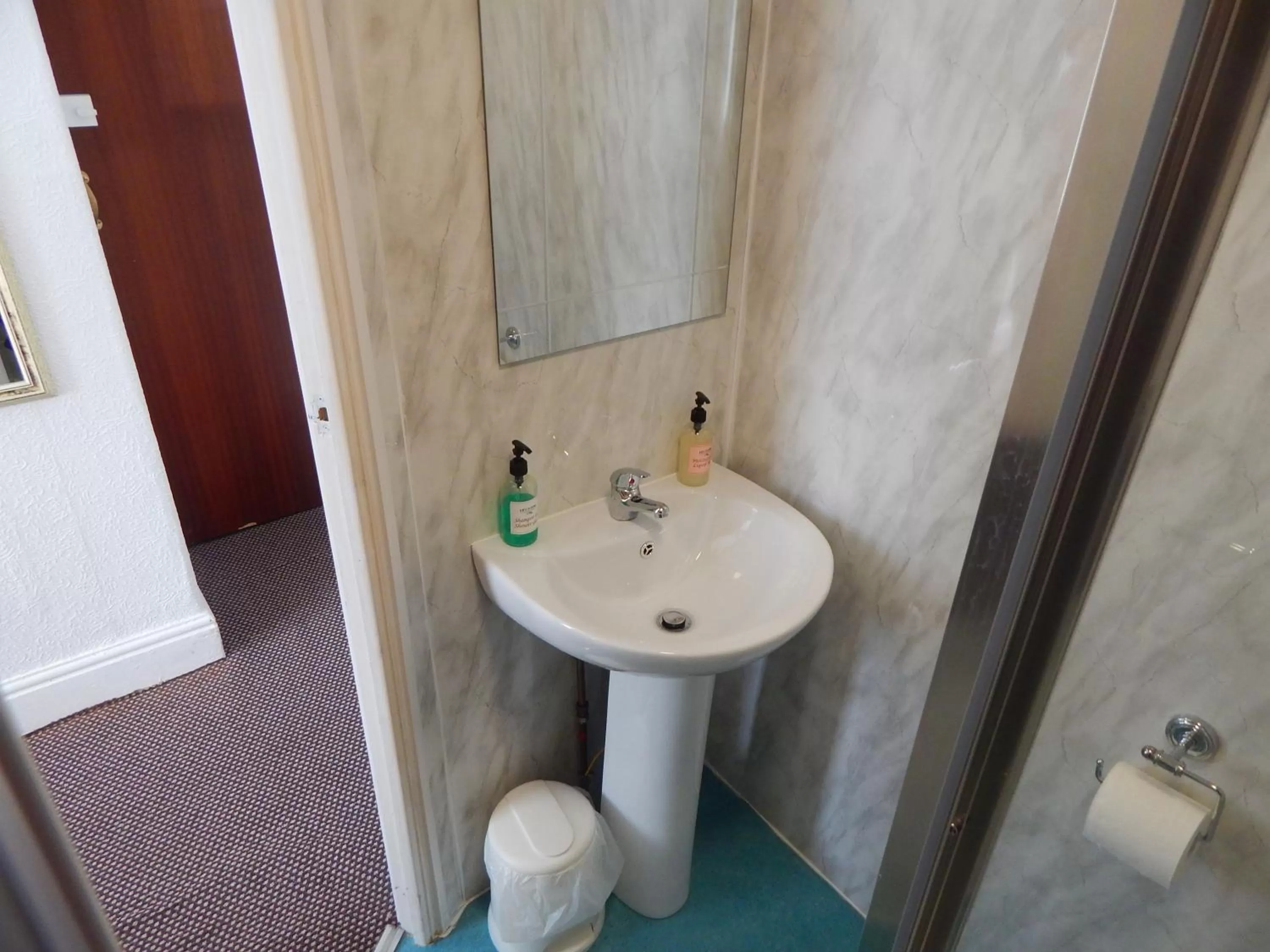 Shower, Bathroom in Llanryan Guest House