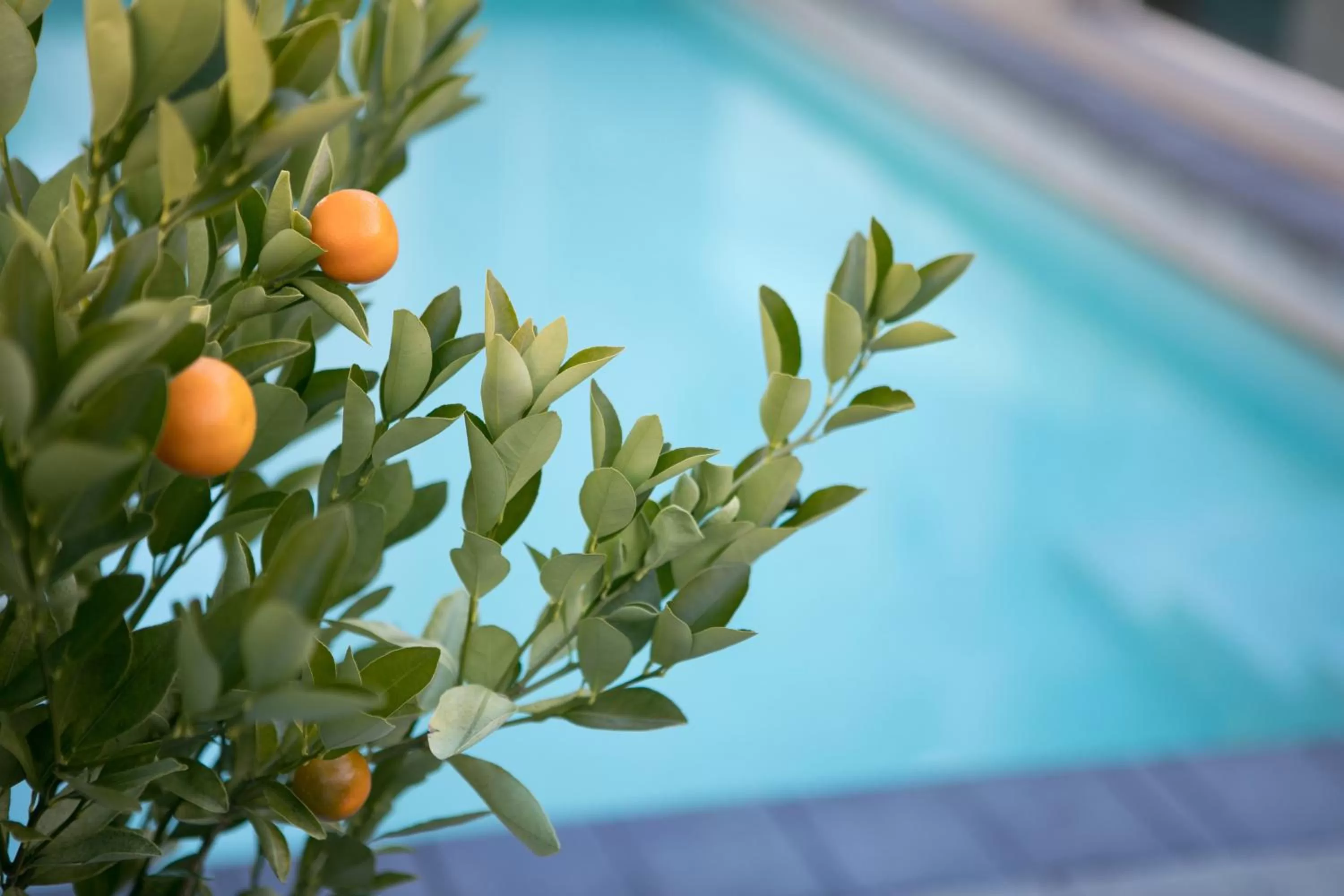 Area and facilities in Boulevard Waters