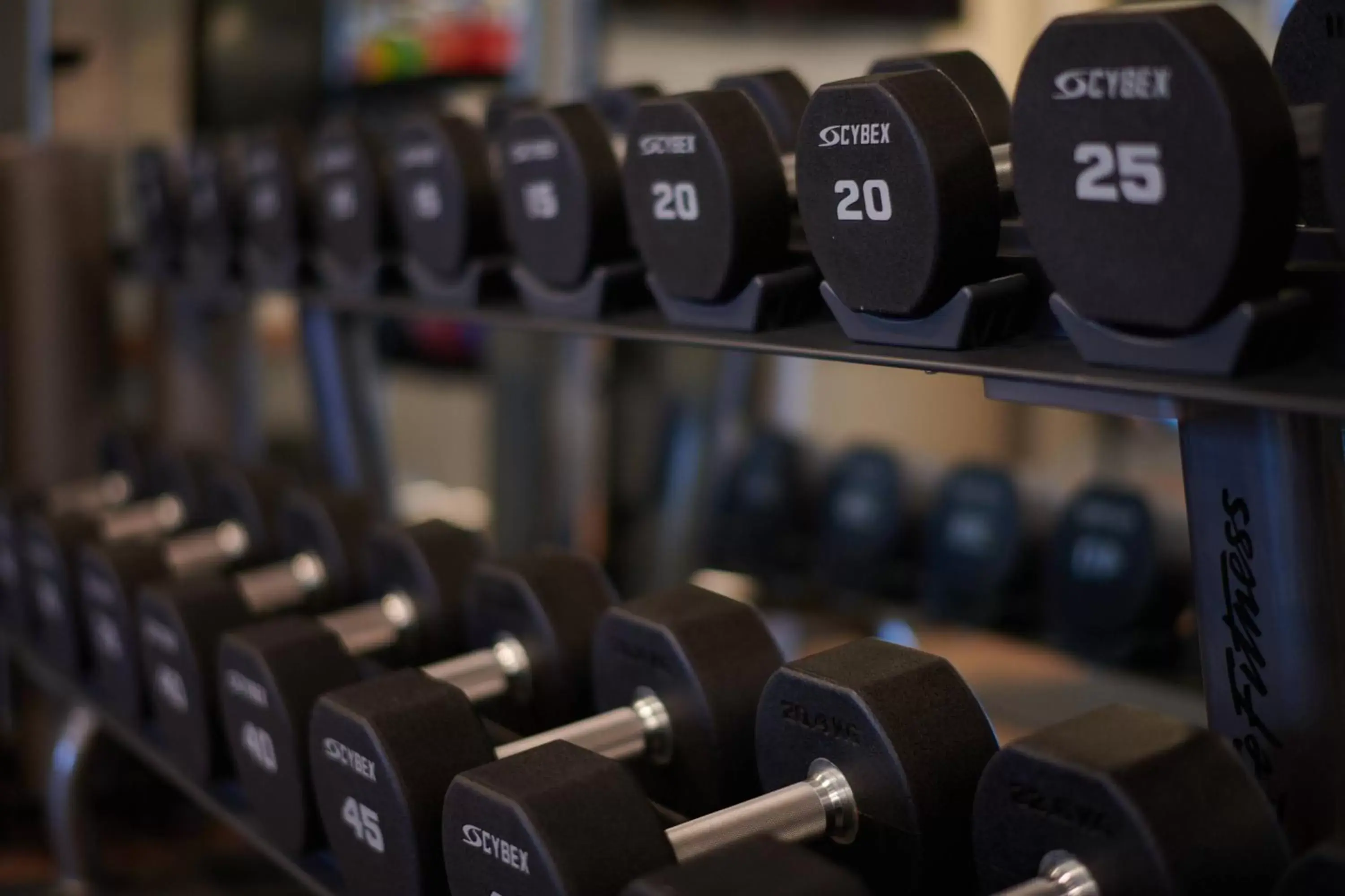 Fitness centre/facilities, Fitness Center/Facilities in Hotel Drover, Autograph Collection