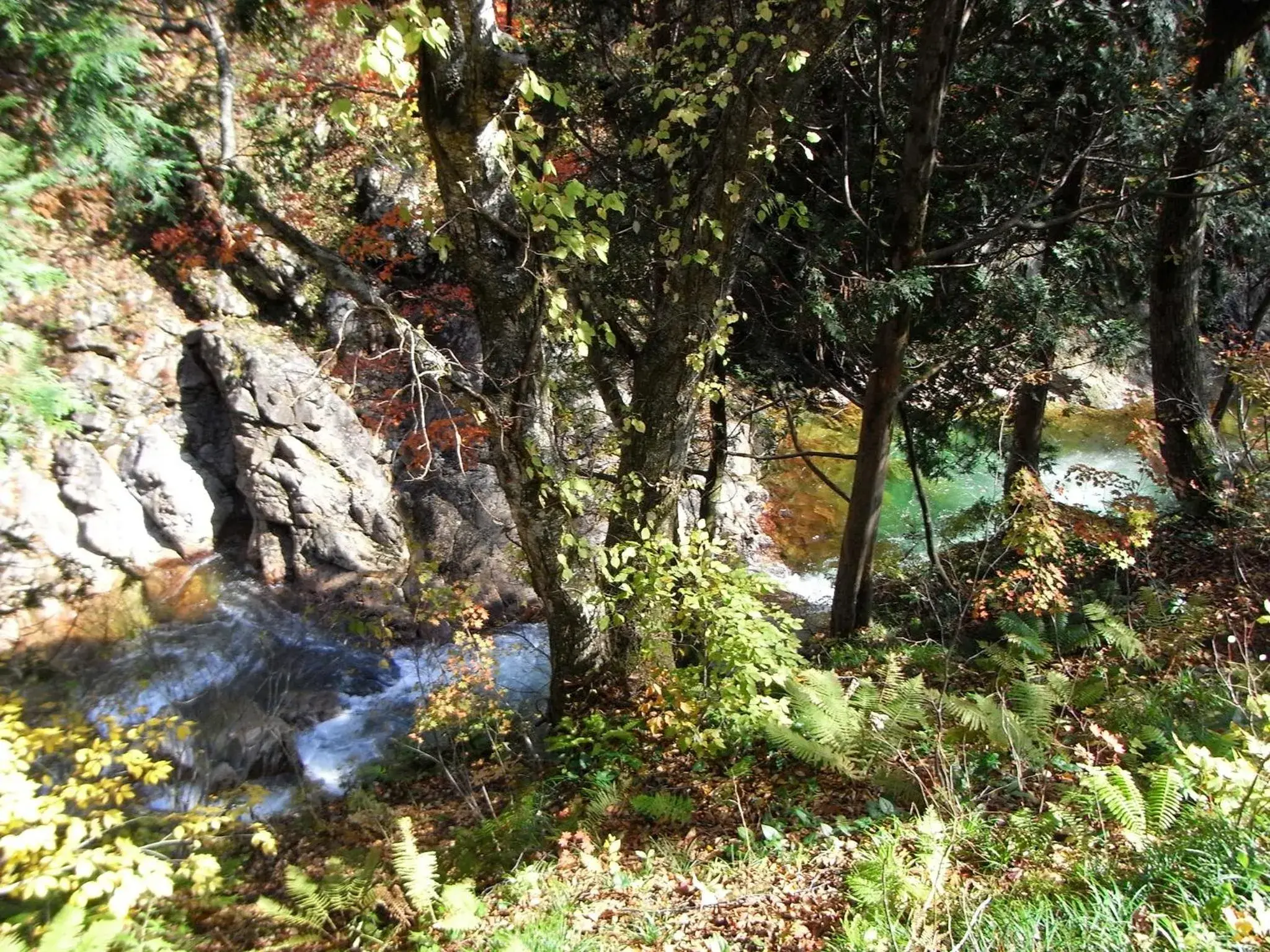 Spring in Tenjin Lodge