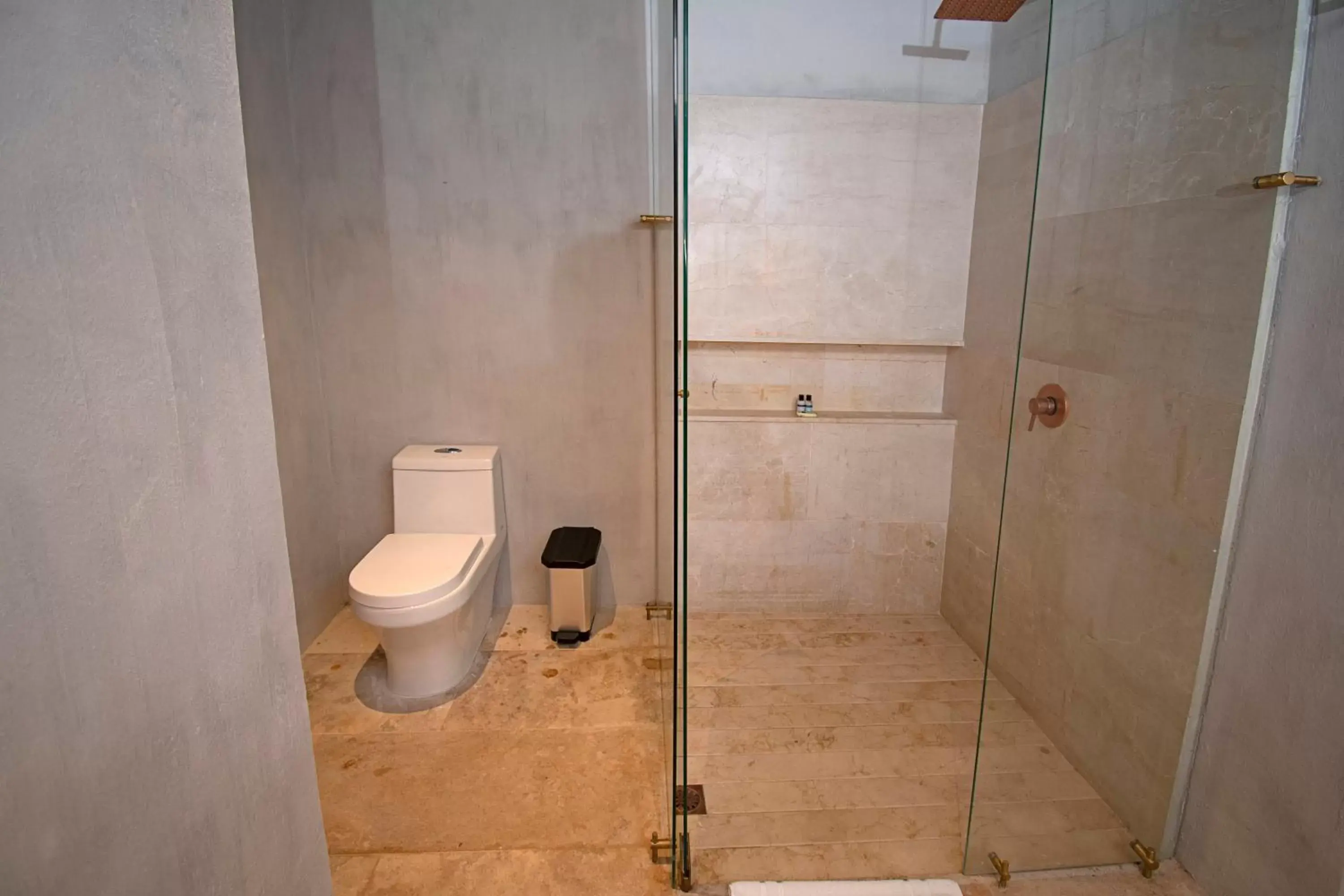 Shower, Bathroom in Hotel Casa Don Luis by Faranda Boutique, a member of Radisson Individuals