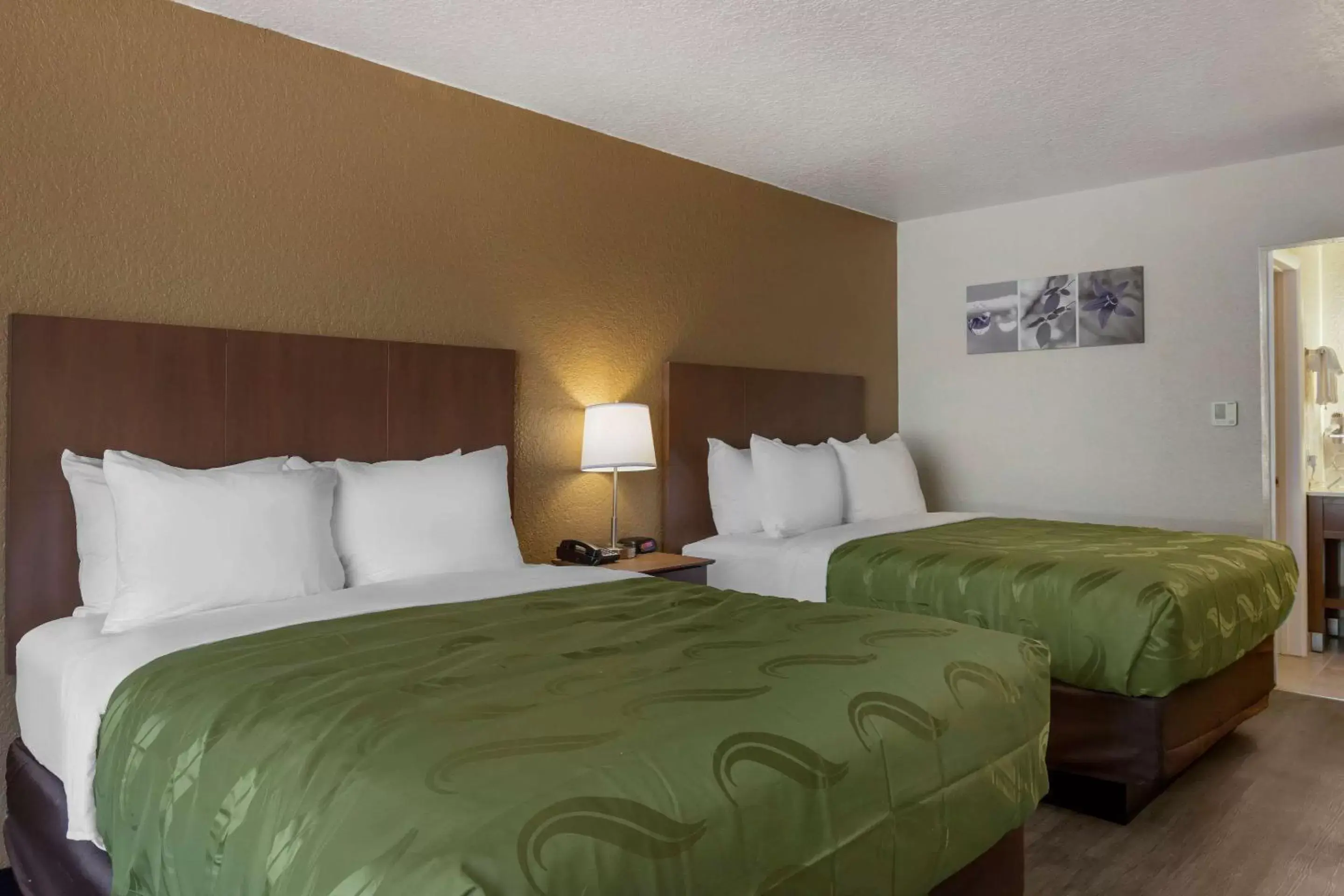 Photo of the whole room, Bed in Quality Inn Saint Petersburg North-Tampa Bay