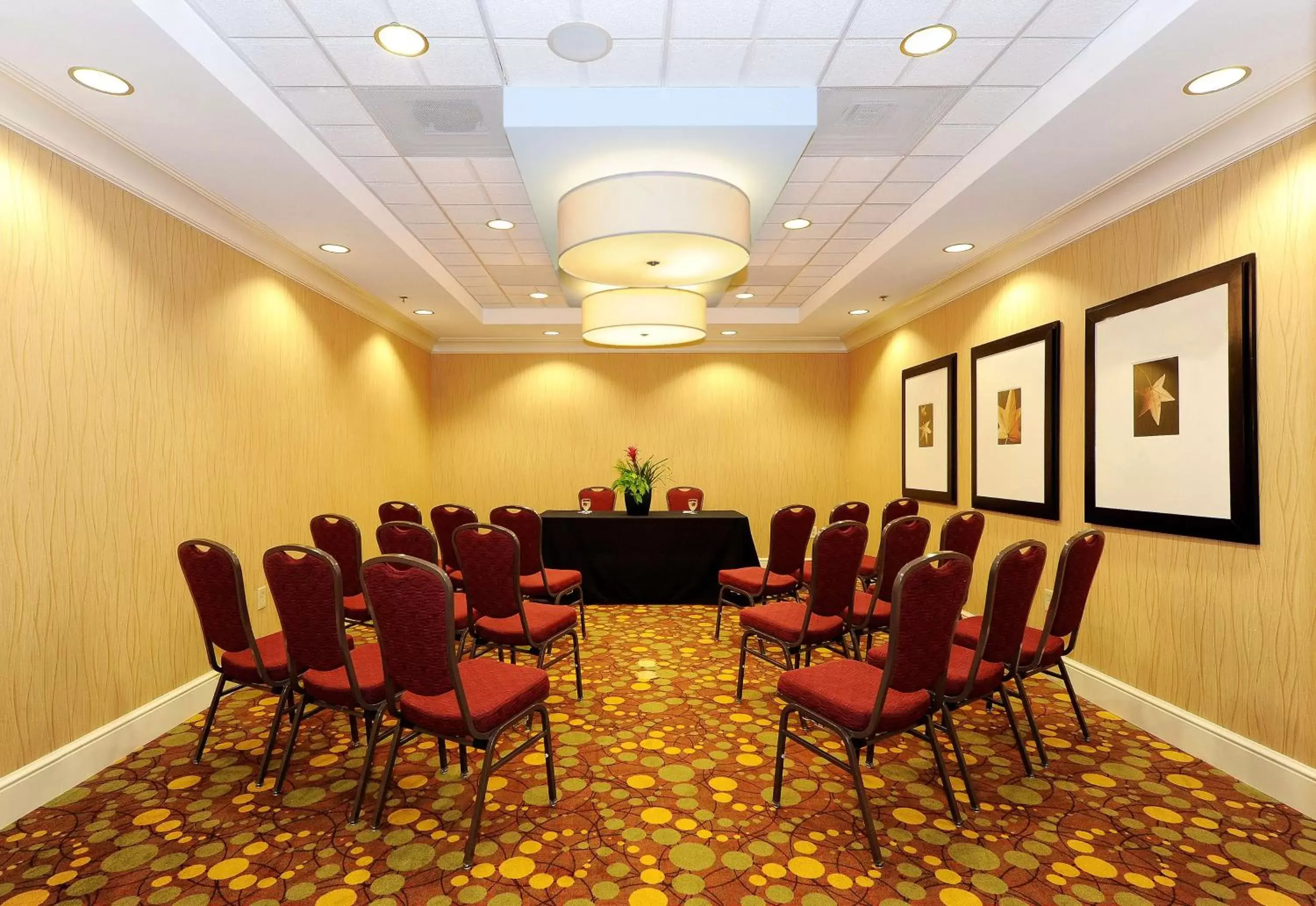 Meeting/conference room in Hilton Garden Inn Columbia/Northeast