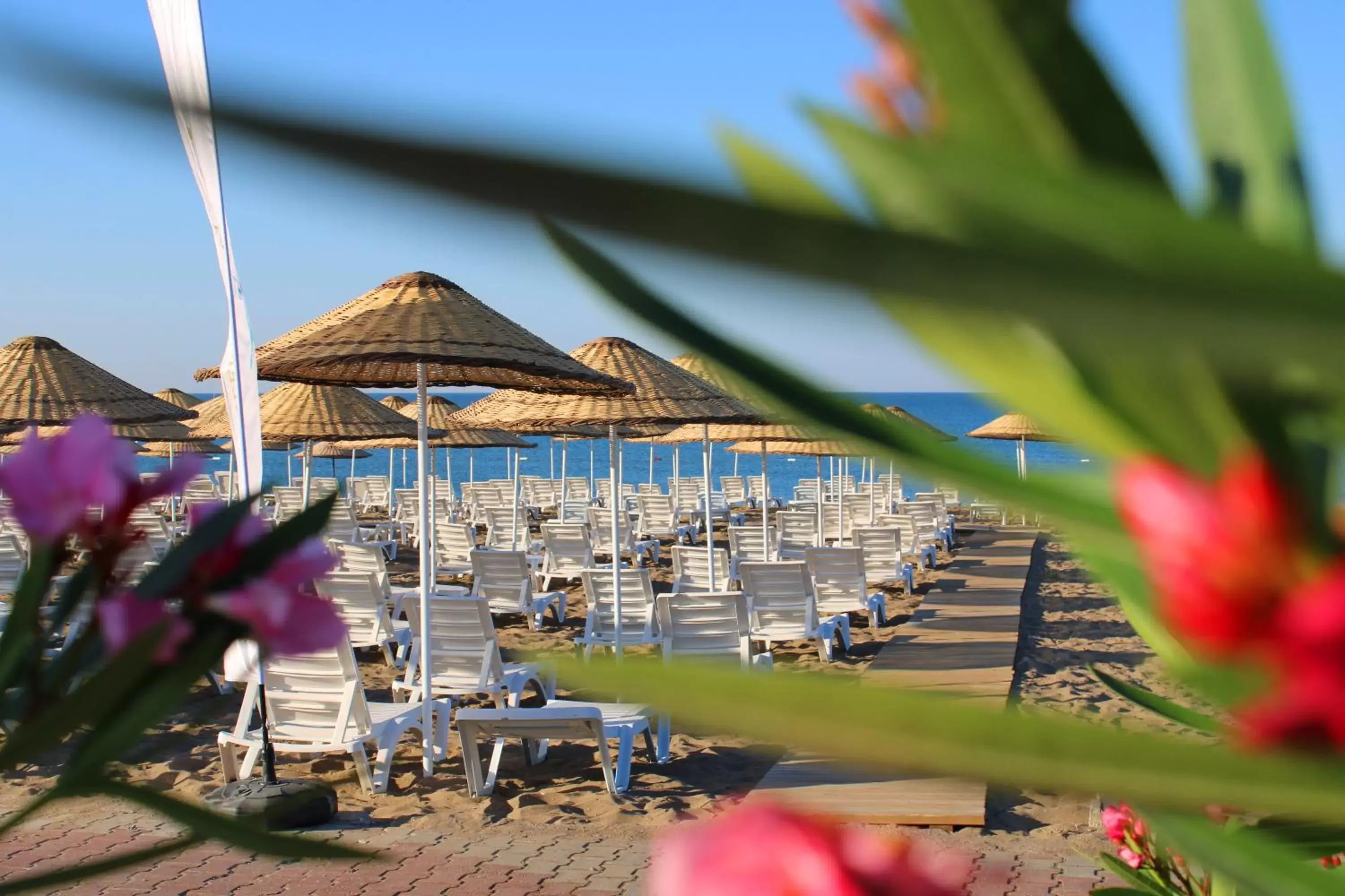 Beach in Innvista Hotels Belek