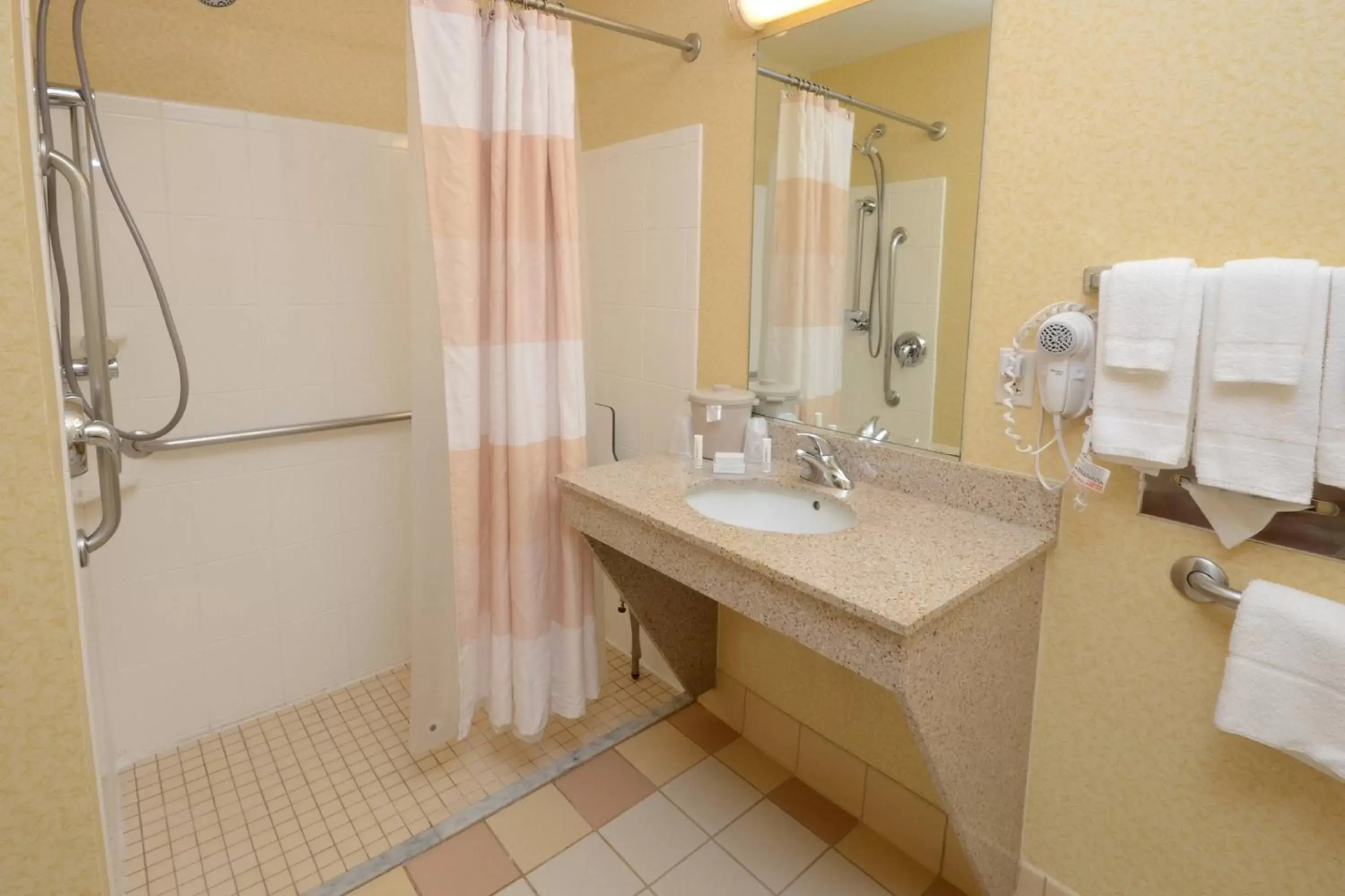 Bathroom in Fairfield Inn & Suites by Marriott Richmond Innsbrook