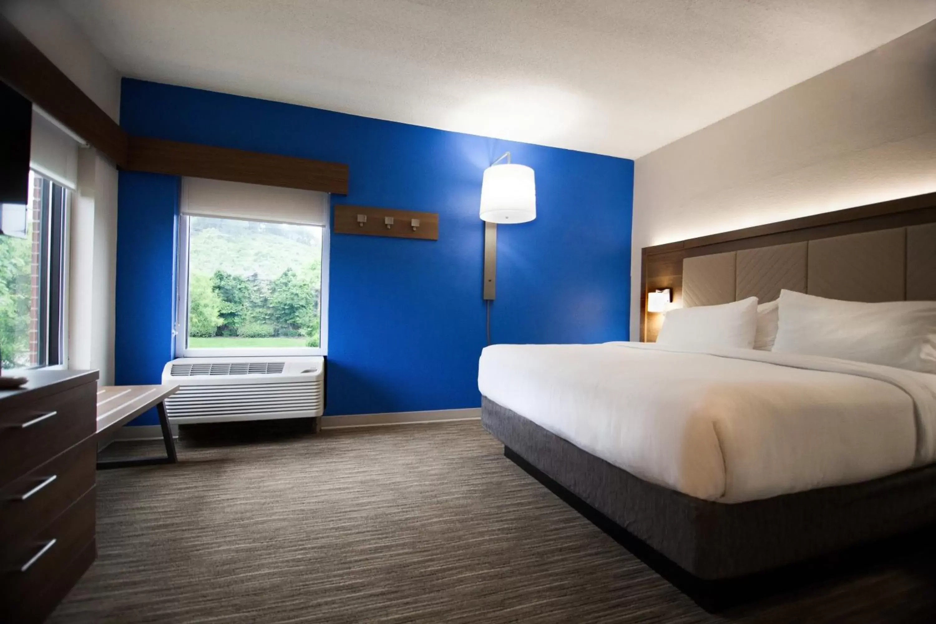 Photo of the whole room, Bed in Holiday Inn Express Hotel & Suites Nashville Brentwood 65S