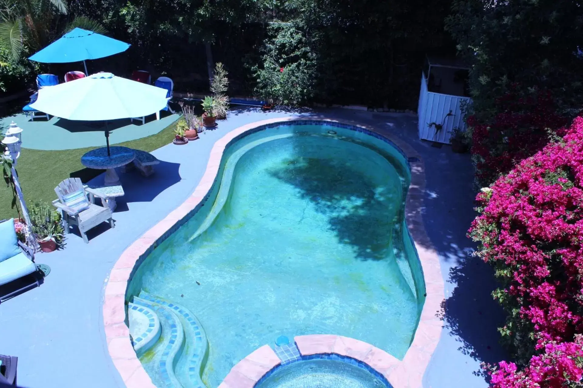 Pool View in Sweet Dreams B&B LA