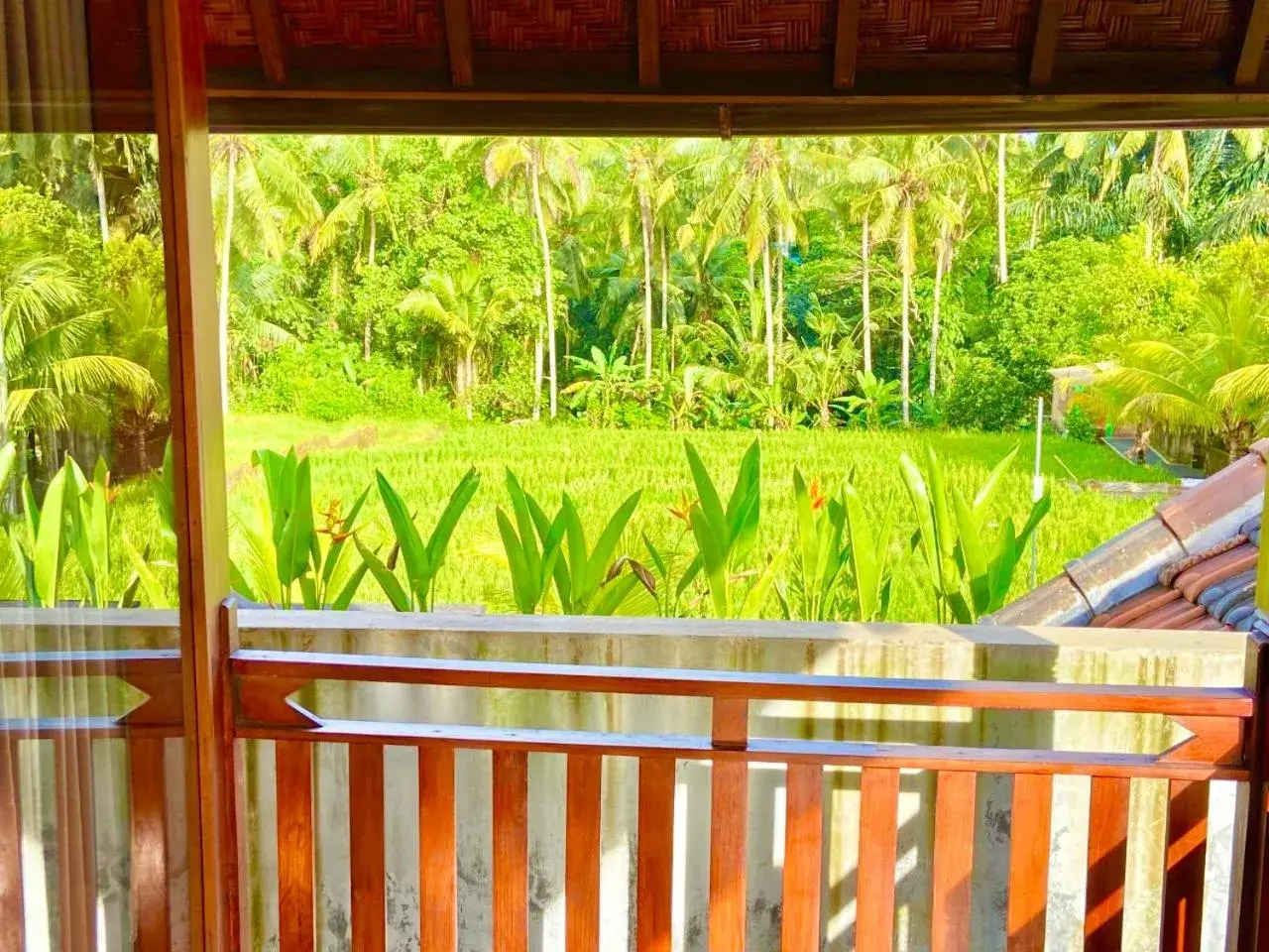 Natural landscape, Balcony/Terrace in Dupa Ubud Villa