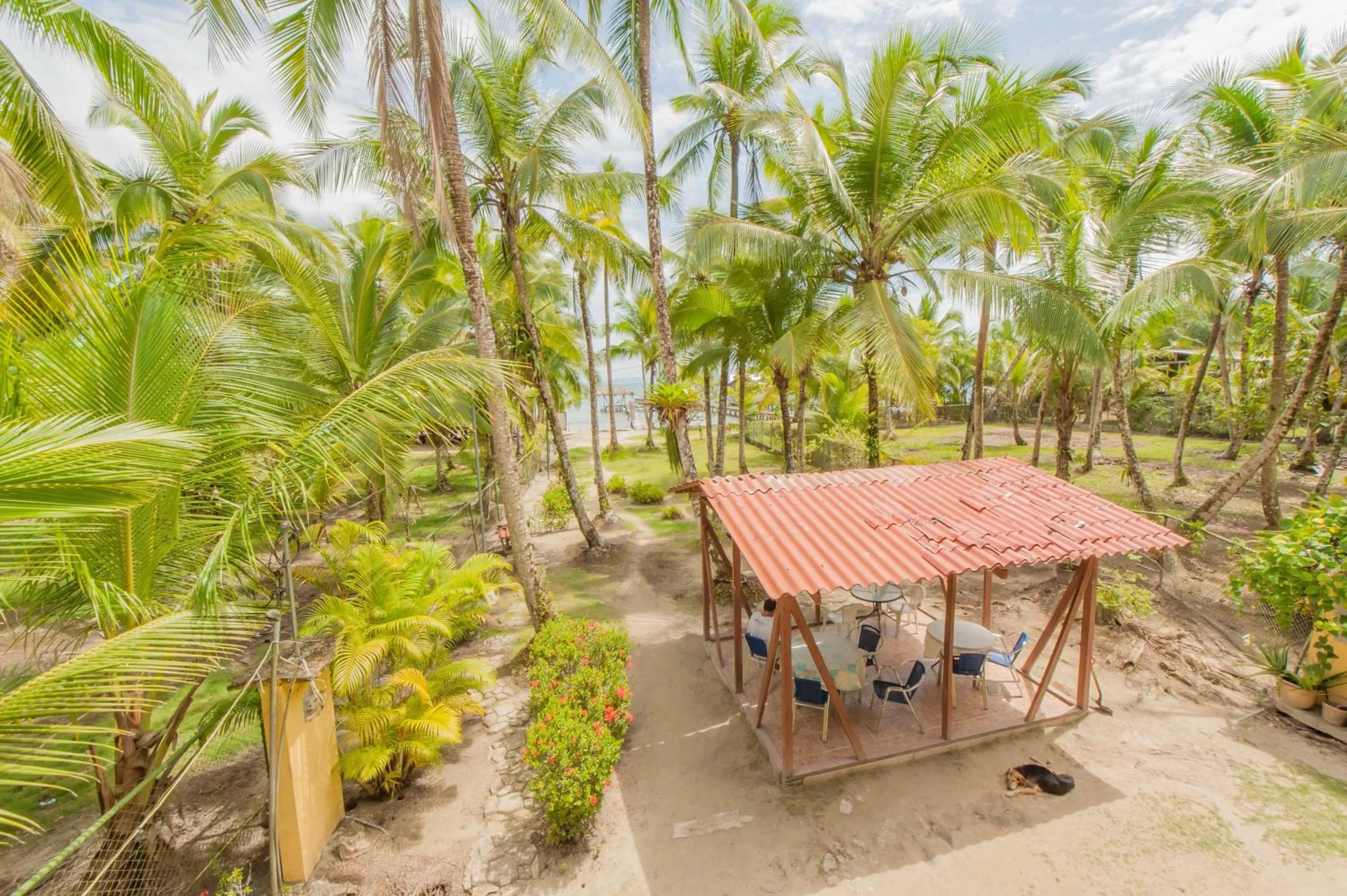 Garden in Hotel Tierra Verde Bed and Breakfast