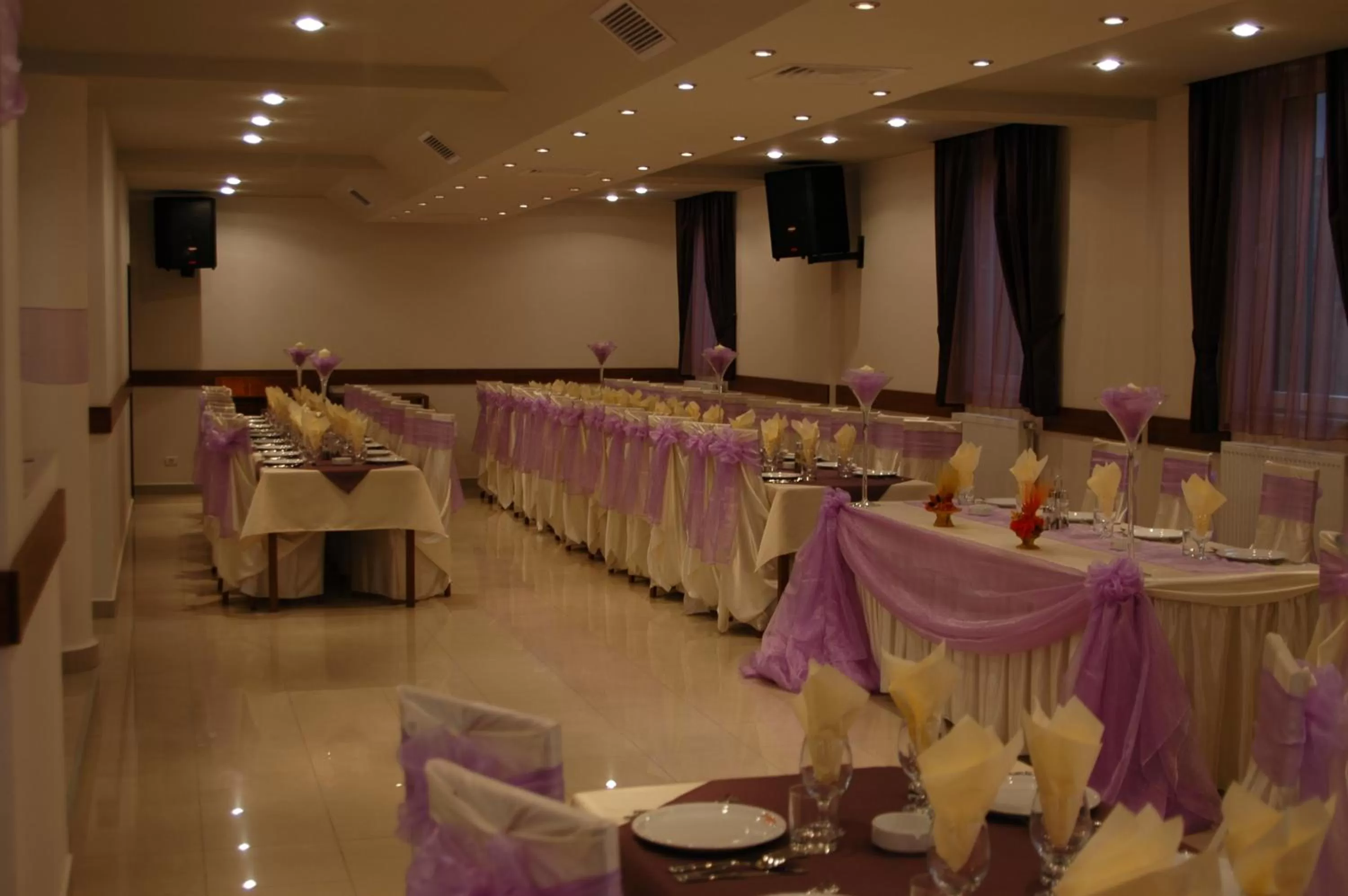 Banquet/Function facilities in Hotel Iris