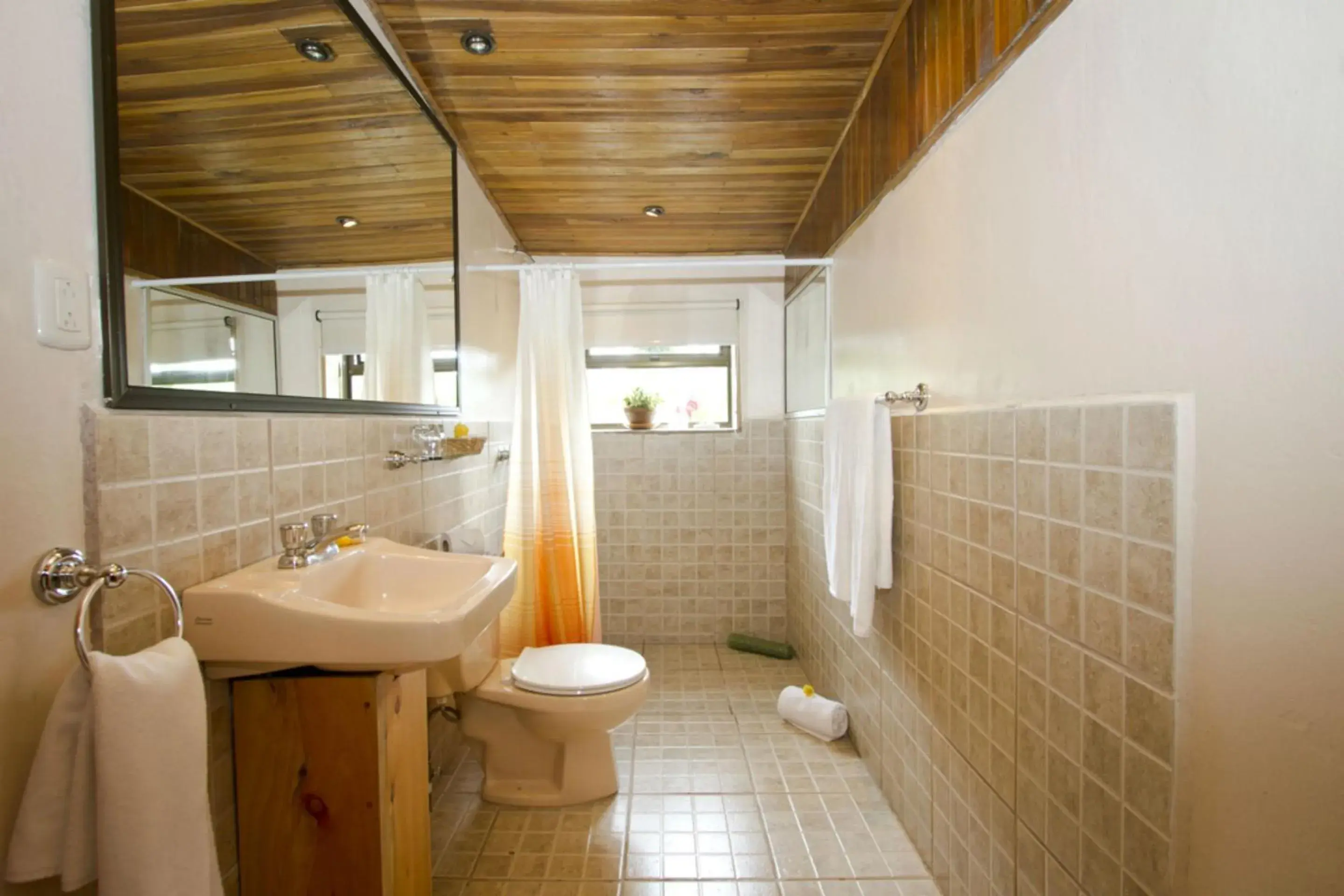 Bathroom in Poas Volcano Lodge