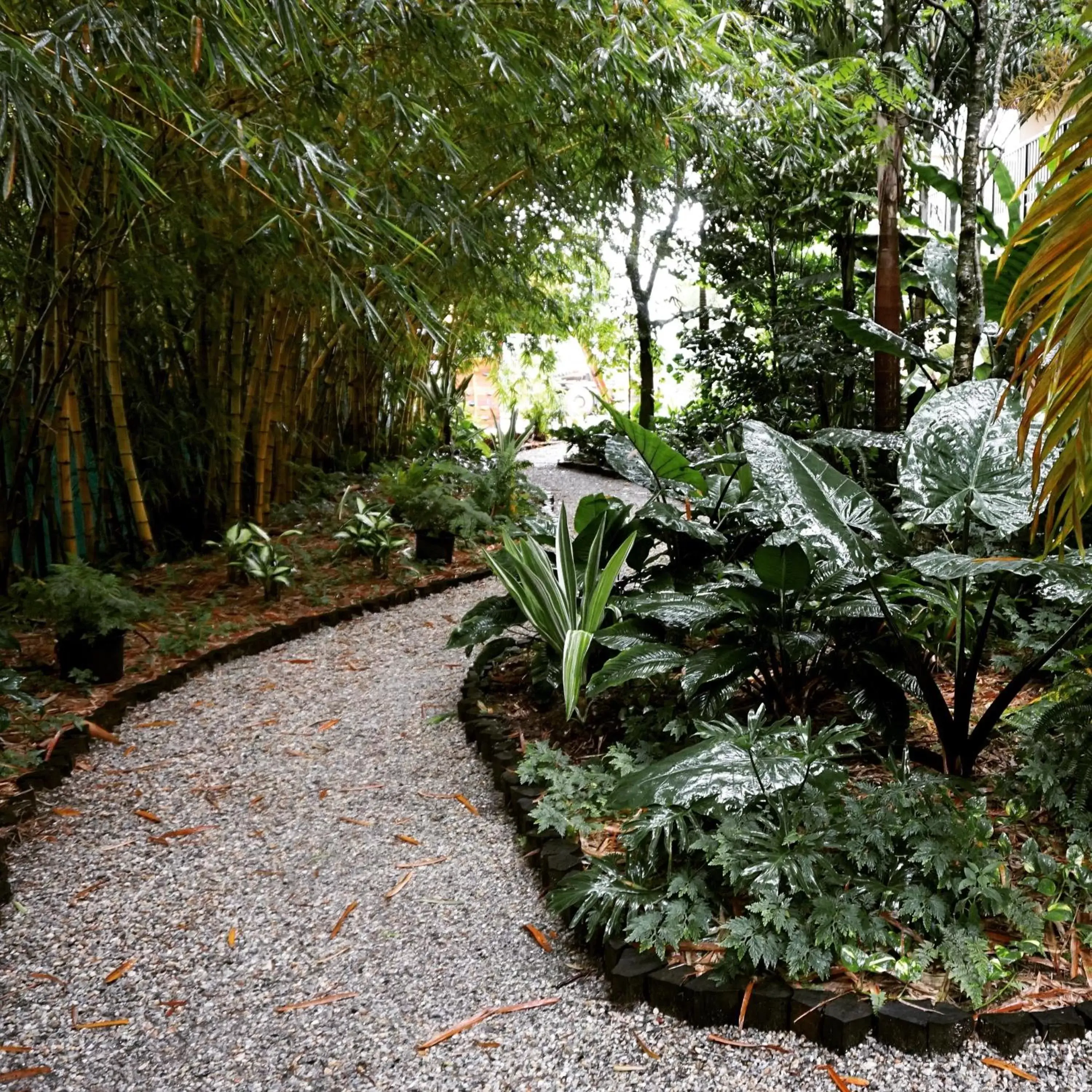 Day, Garden in Jacana Amazon Wellness Resort