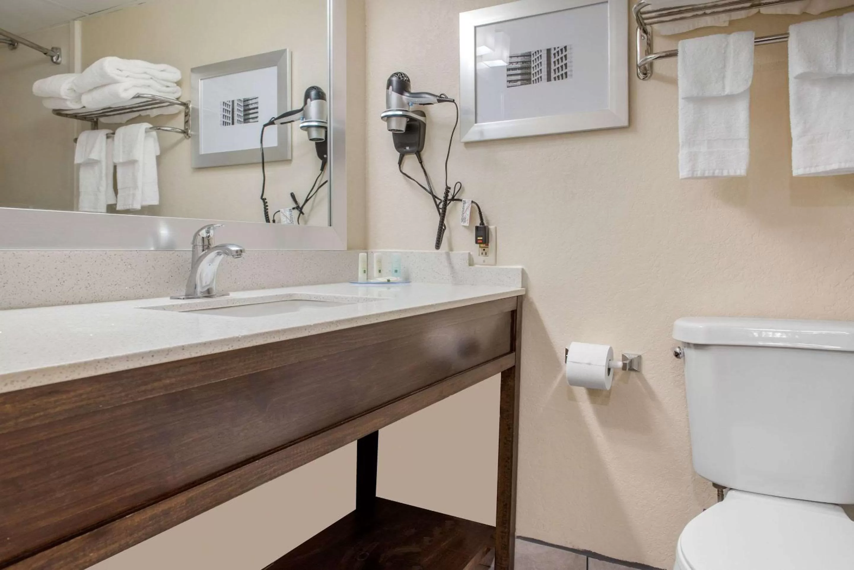 Toilet in Quality Inn and Conference Center