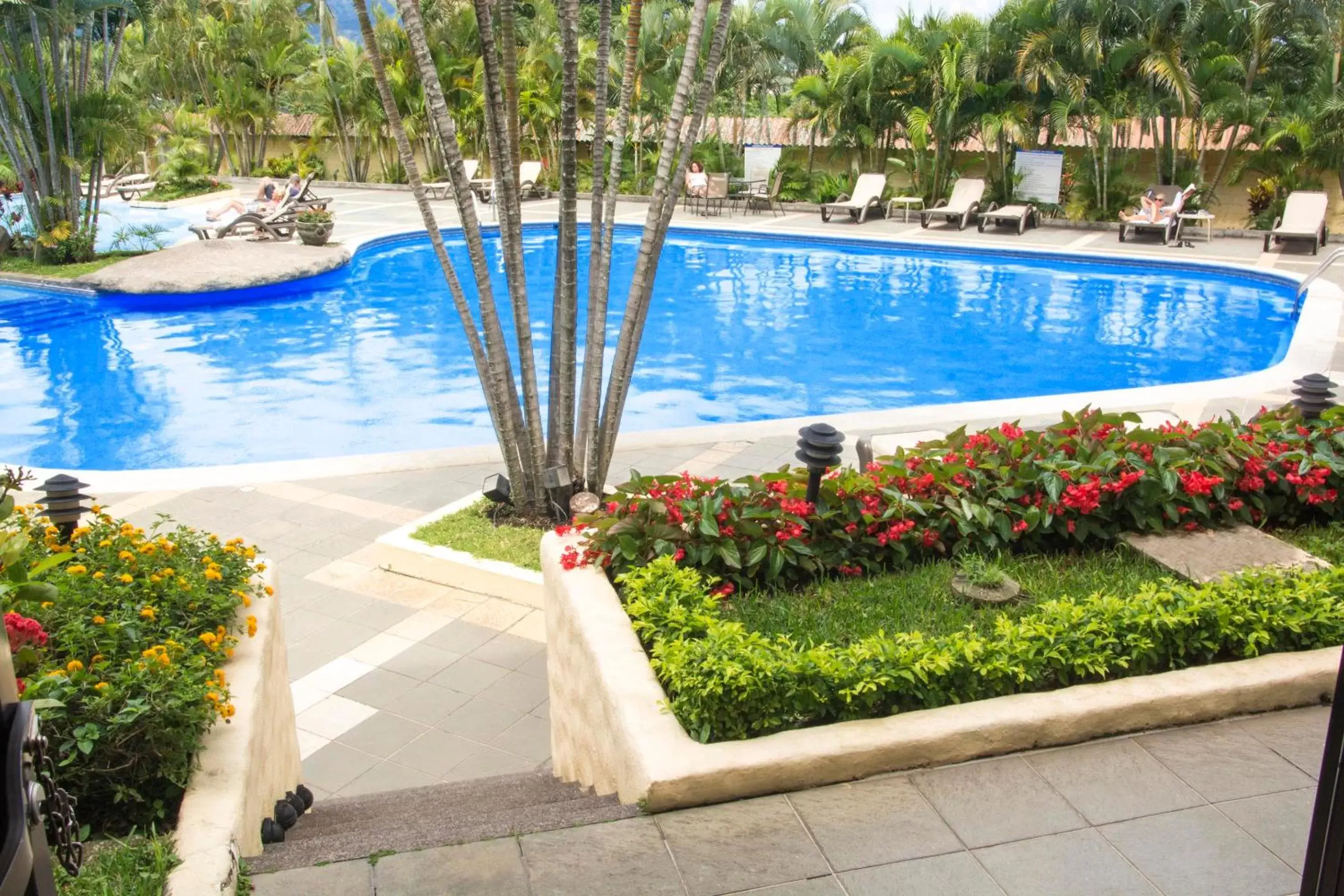 Photo of the whole room, Swimming Pool in Wyndham San Jose Herradura