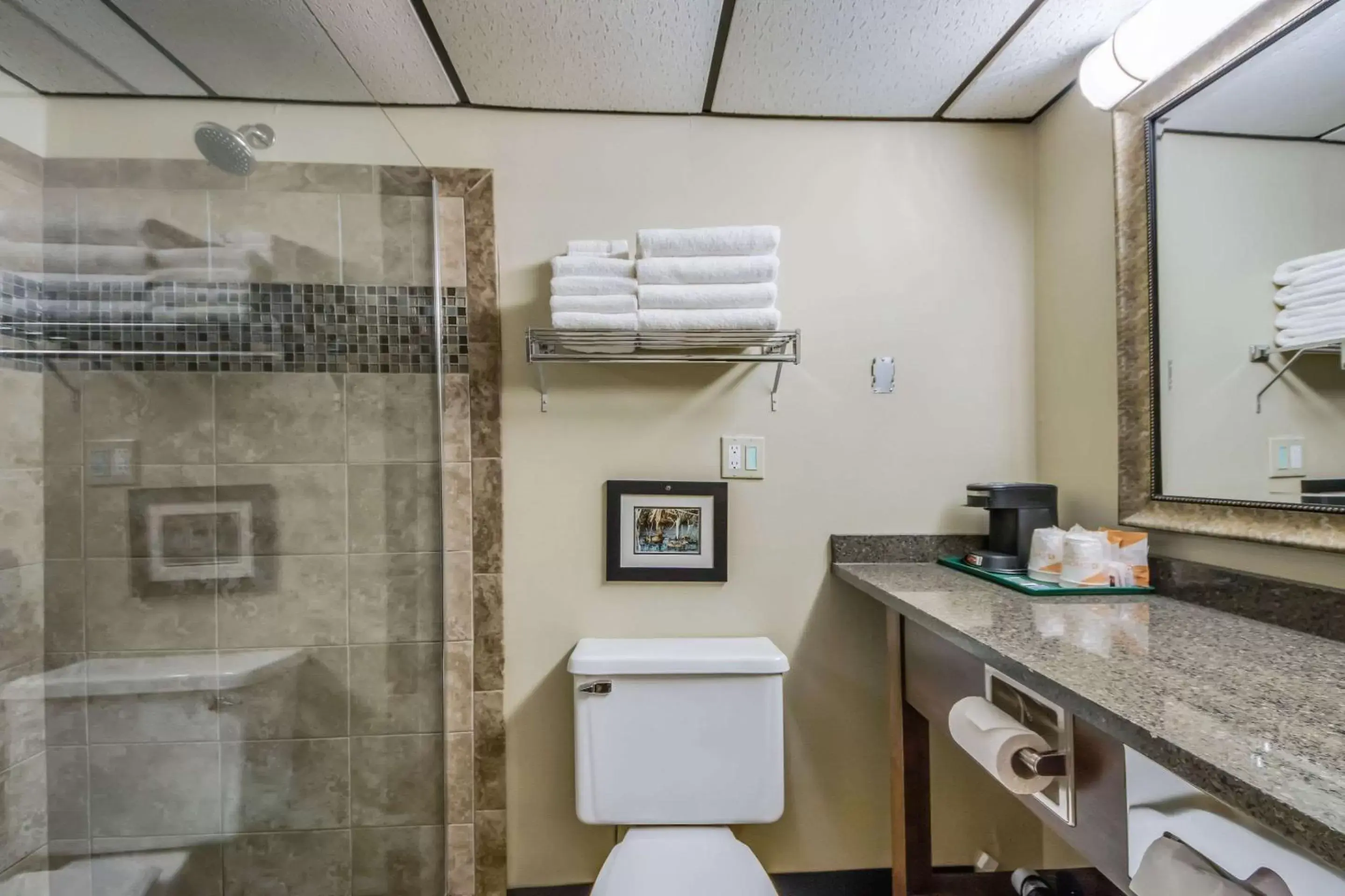 Bathroom in Quality Inn & Suites