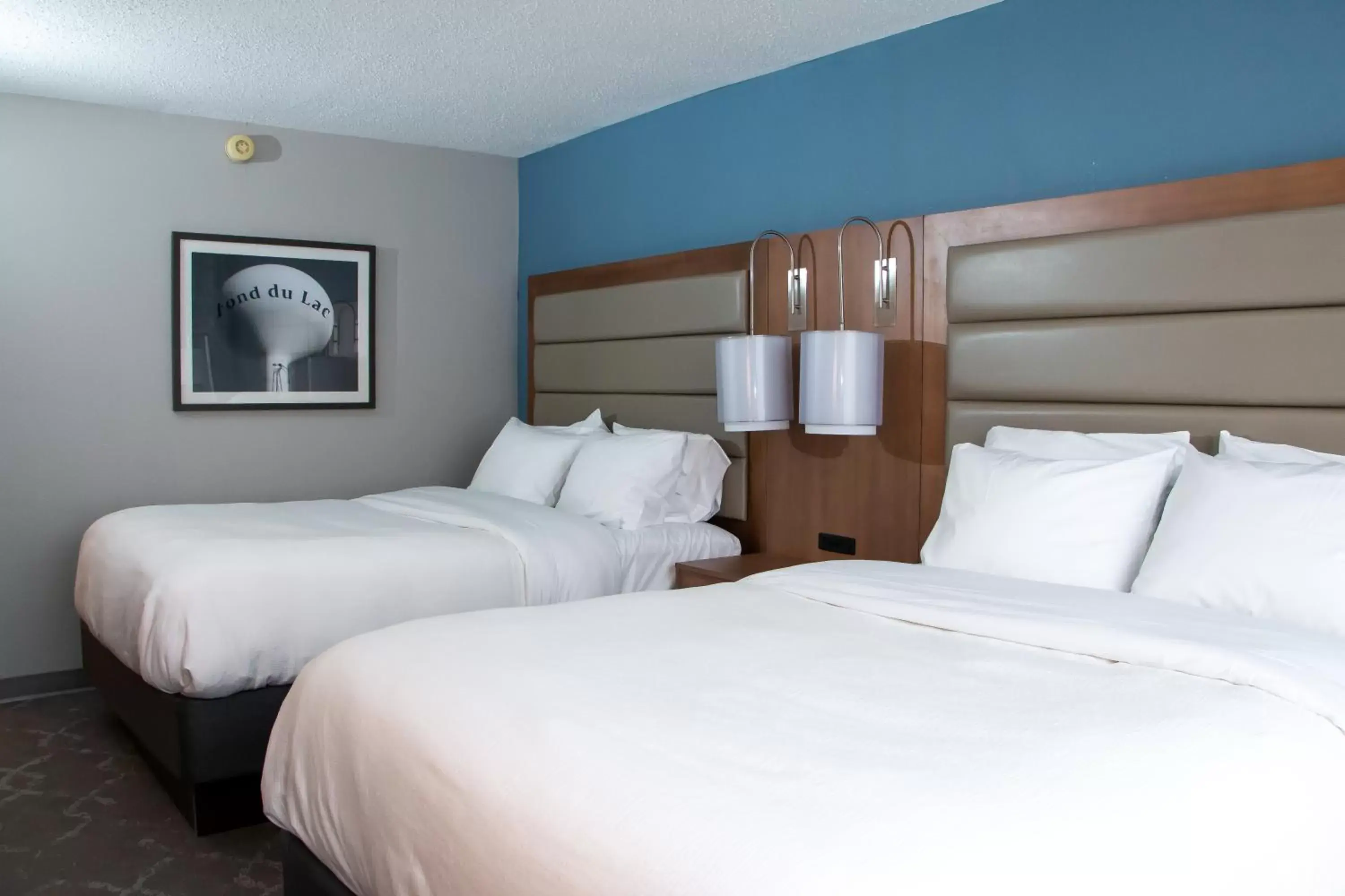 Photo of the whole room, Bed in Radisson Hotel and Conference Center Fond du Lac