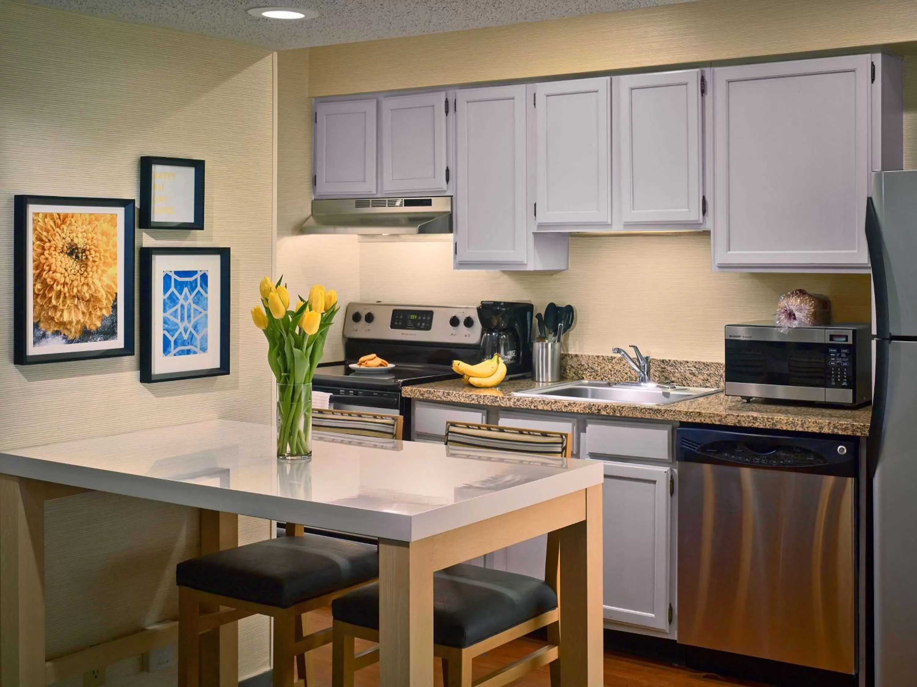 Kitchen or kitchenette, Kitchen/Kitchenette in Sonesta ES Suites South Brunswick - Princeton