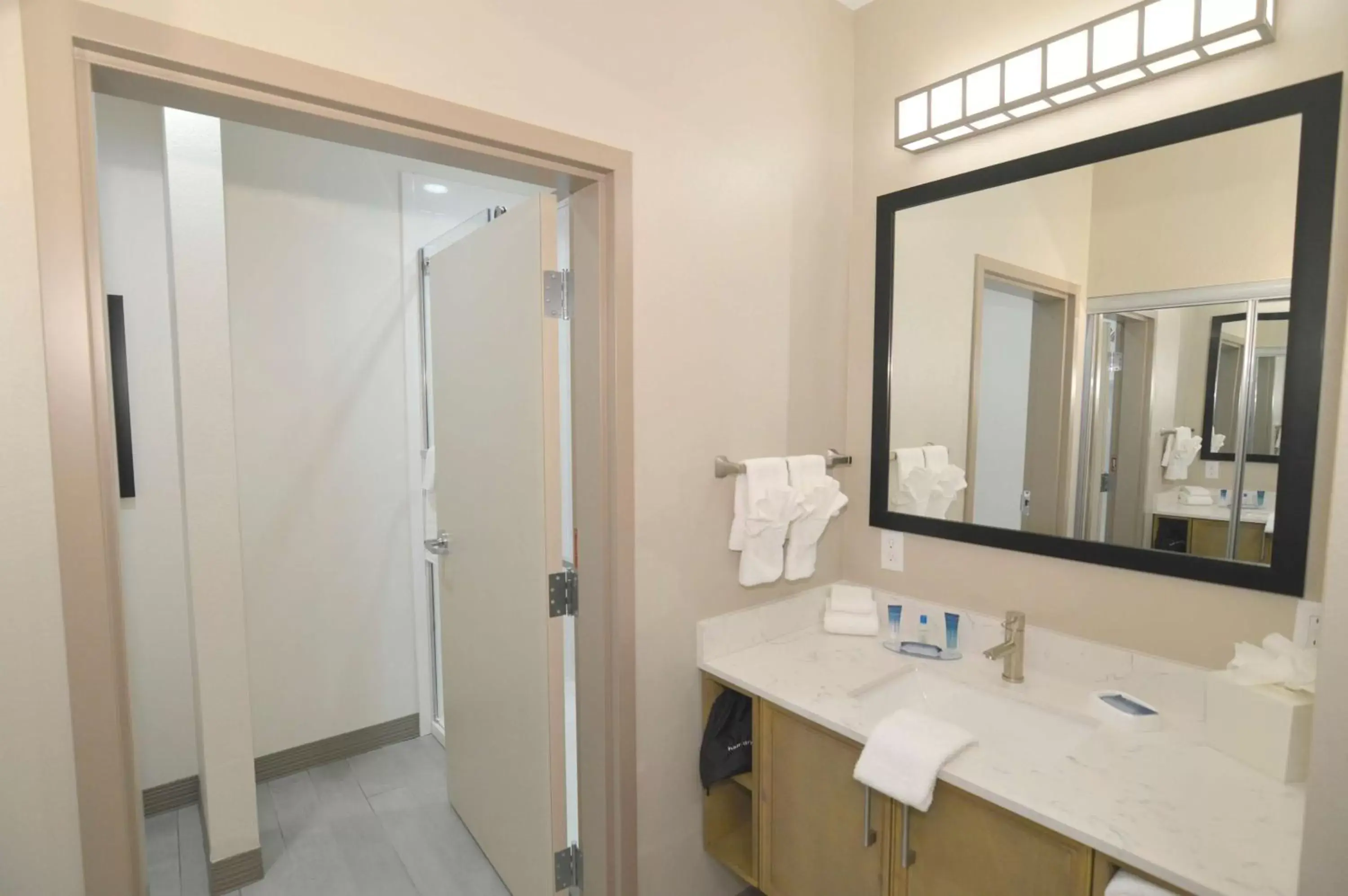 Bathroom in Best Western Executive Residency IH-37 Corpus Christi