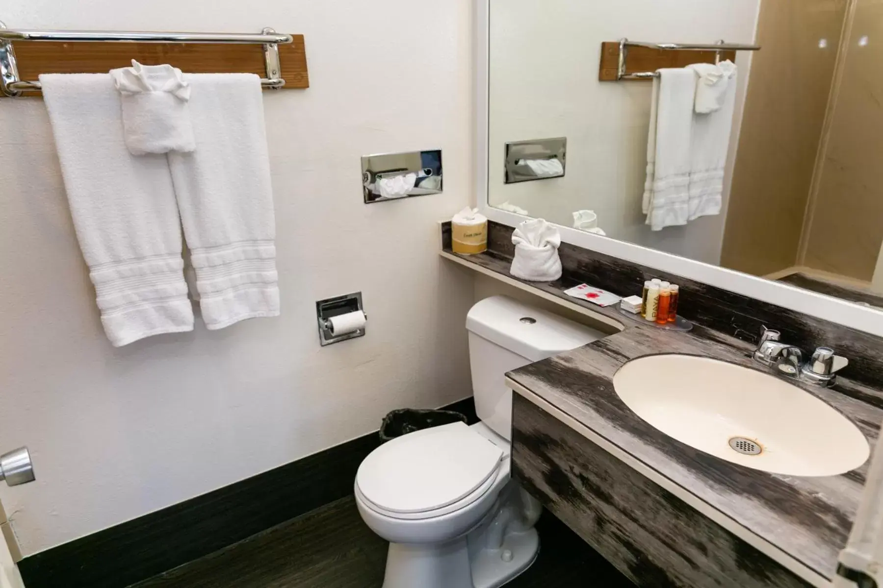 Bathroom in Anaheim Discovery Inn and Suites