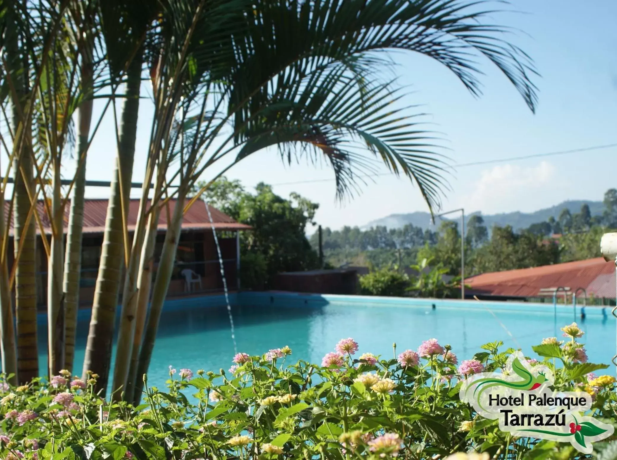 Pool view, Swimming Pool in Hotel Palenque Tarrazu