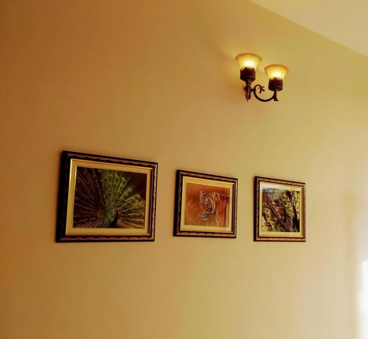 Camp Paridhi Ranthambhore, Homestay