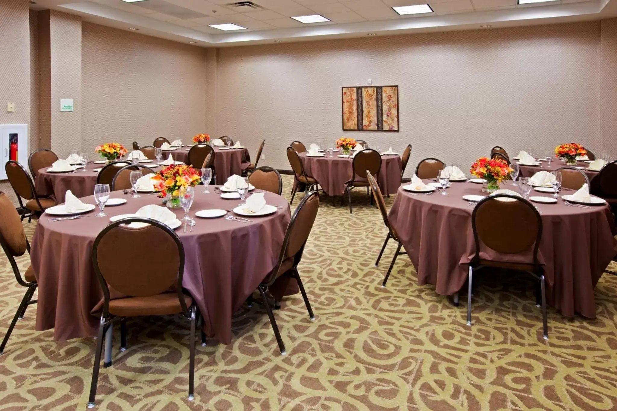 Meeting/conference room, Banquet Facilities in Holiday Inn Florence, an IHG Hotel
